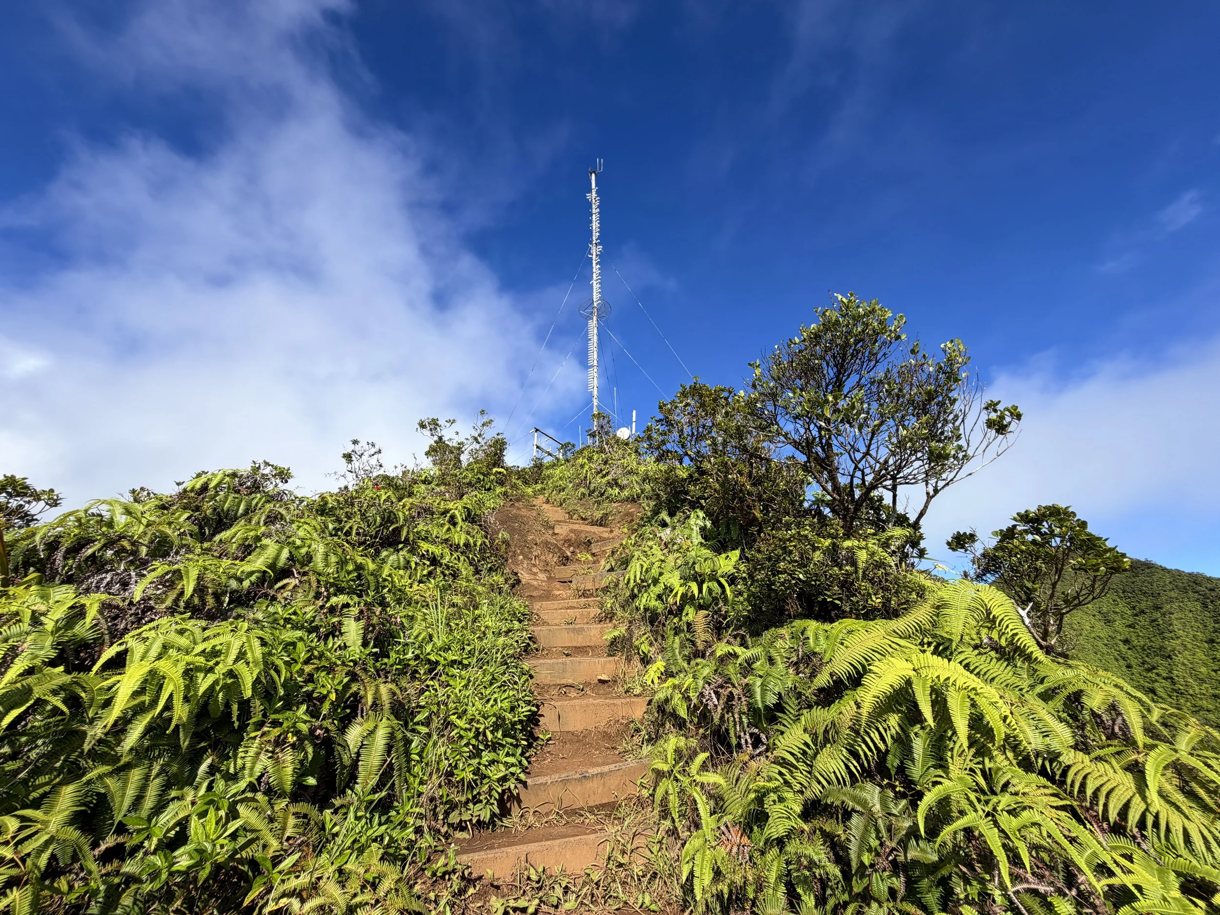 Wiliwilinui Ridge Trail Stairs Oahu Hawaii