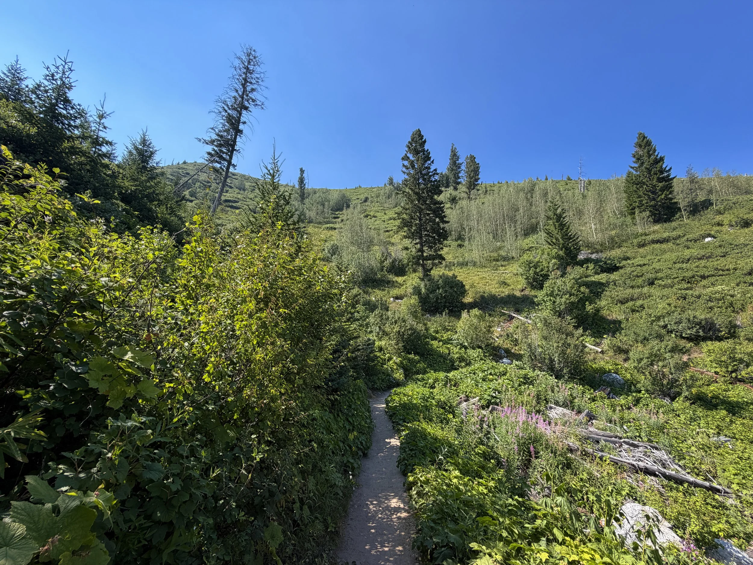 Jenny Lake Loop Trail Grand Teton National Park Wyoming
