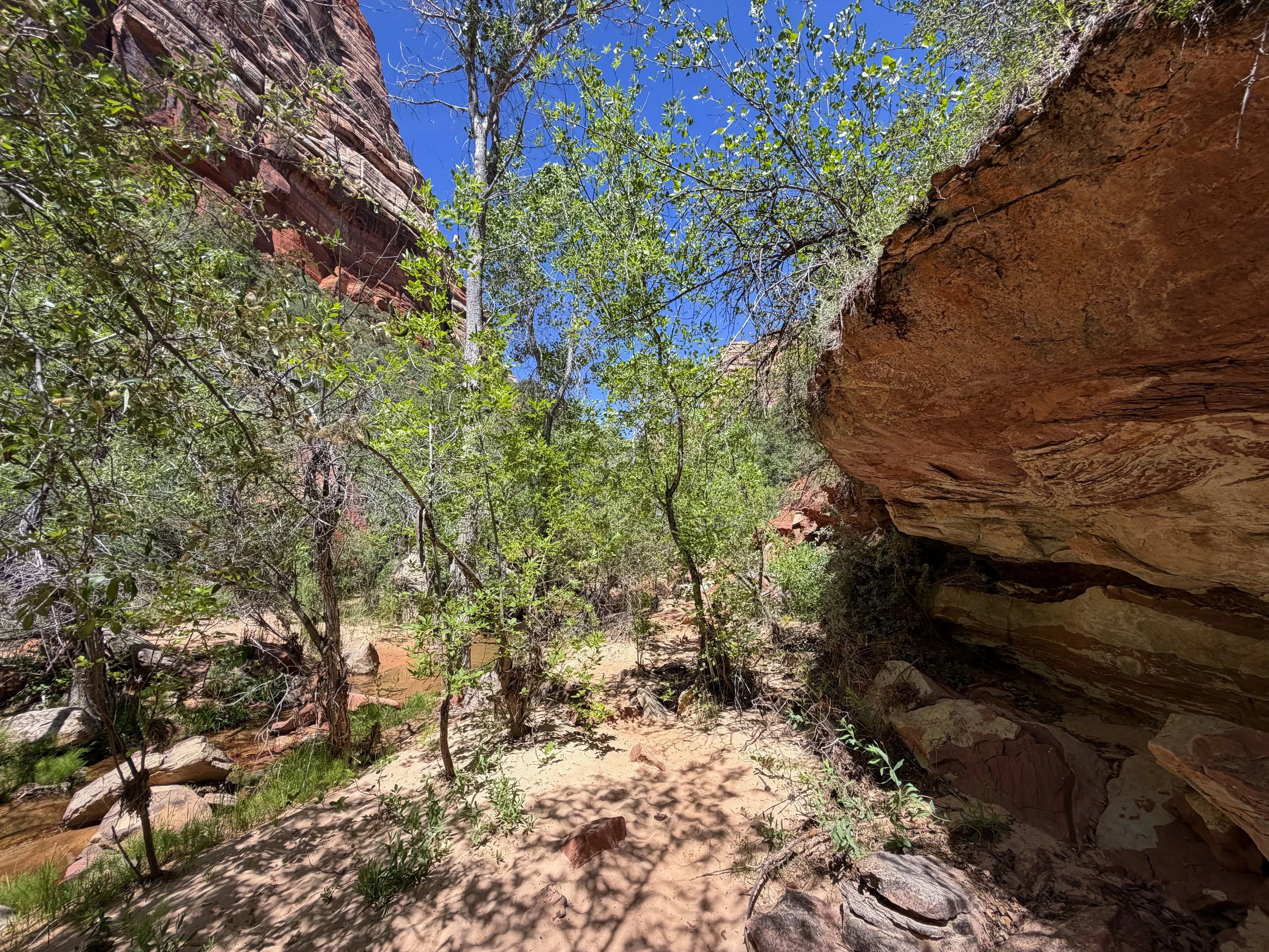 Subway Trail Zion National Park Utah