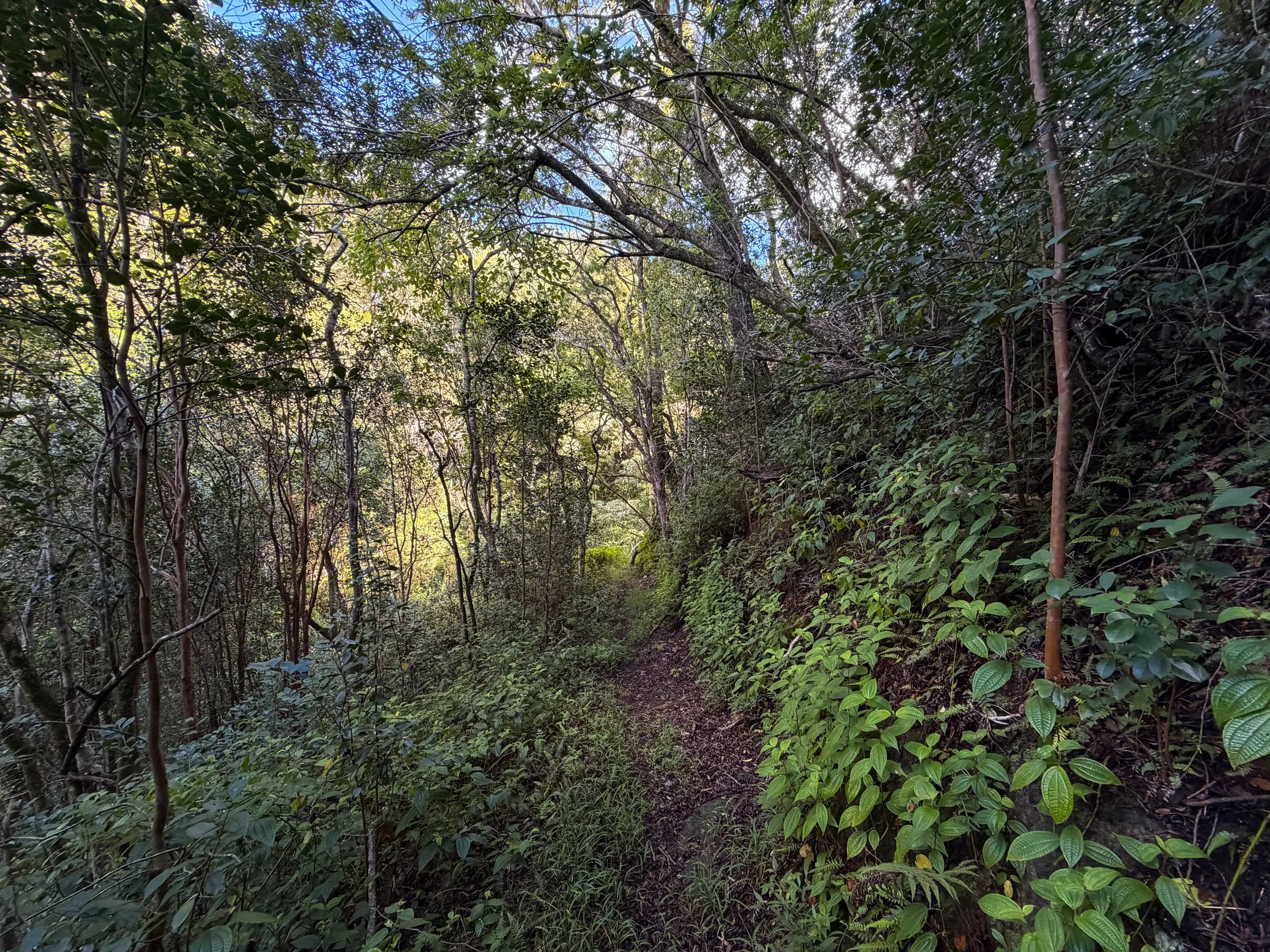 Mokuleia Trail Oahu Hawaii