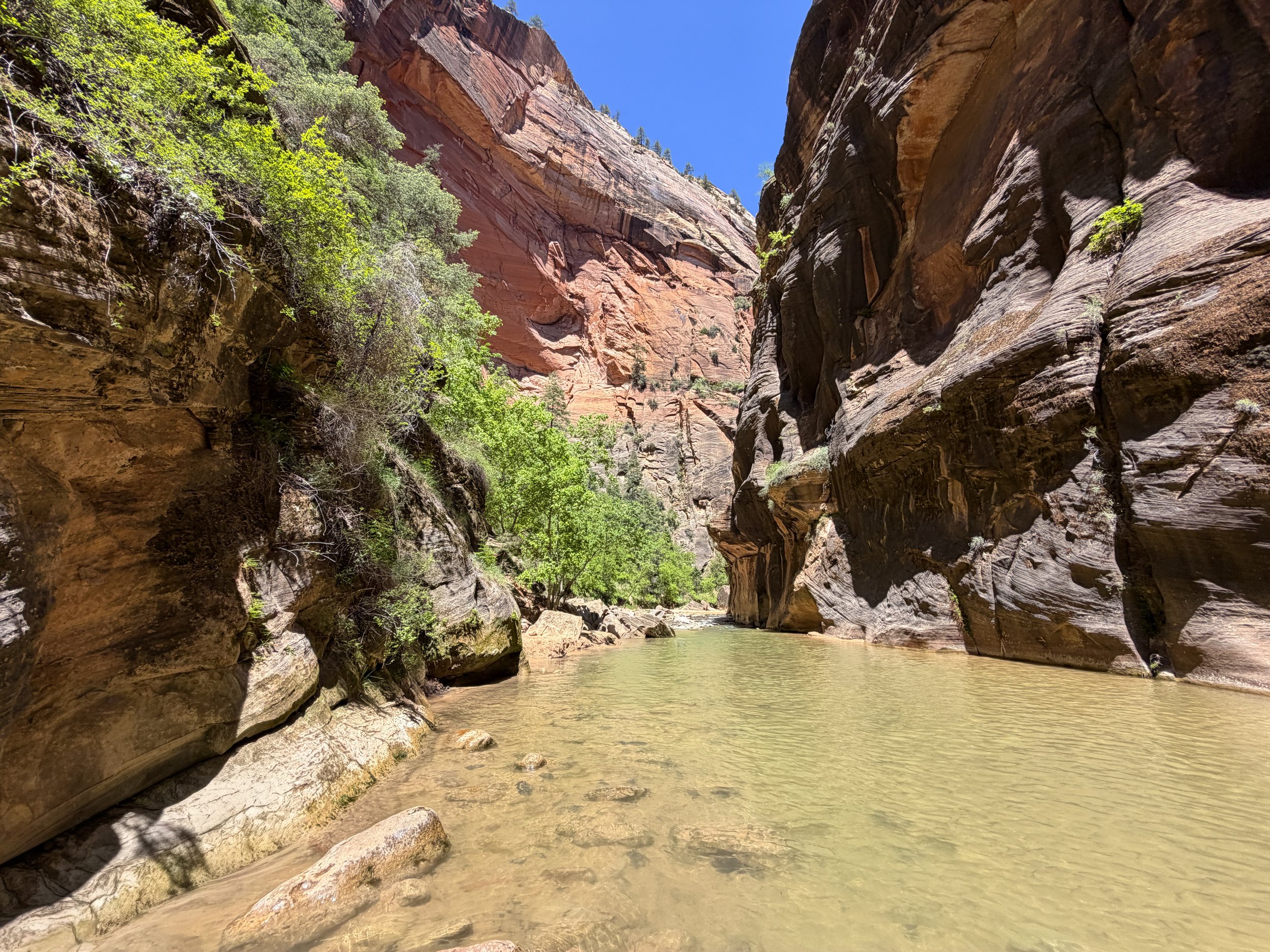The Narrows Hike Zion National Park Utah