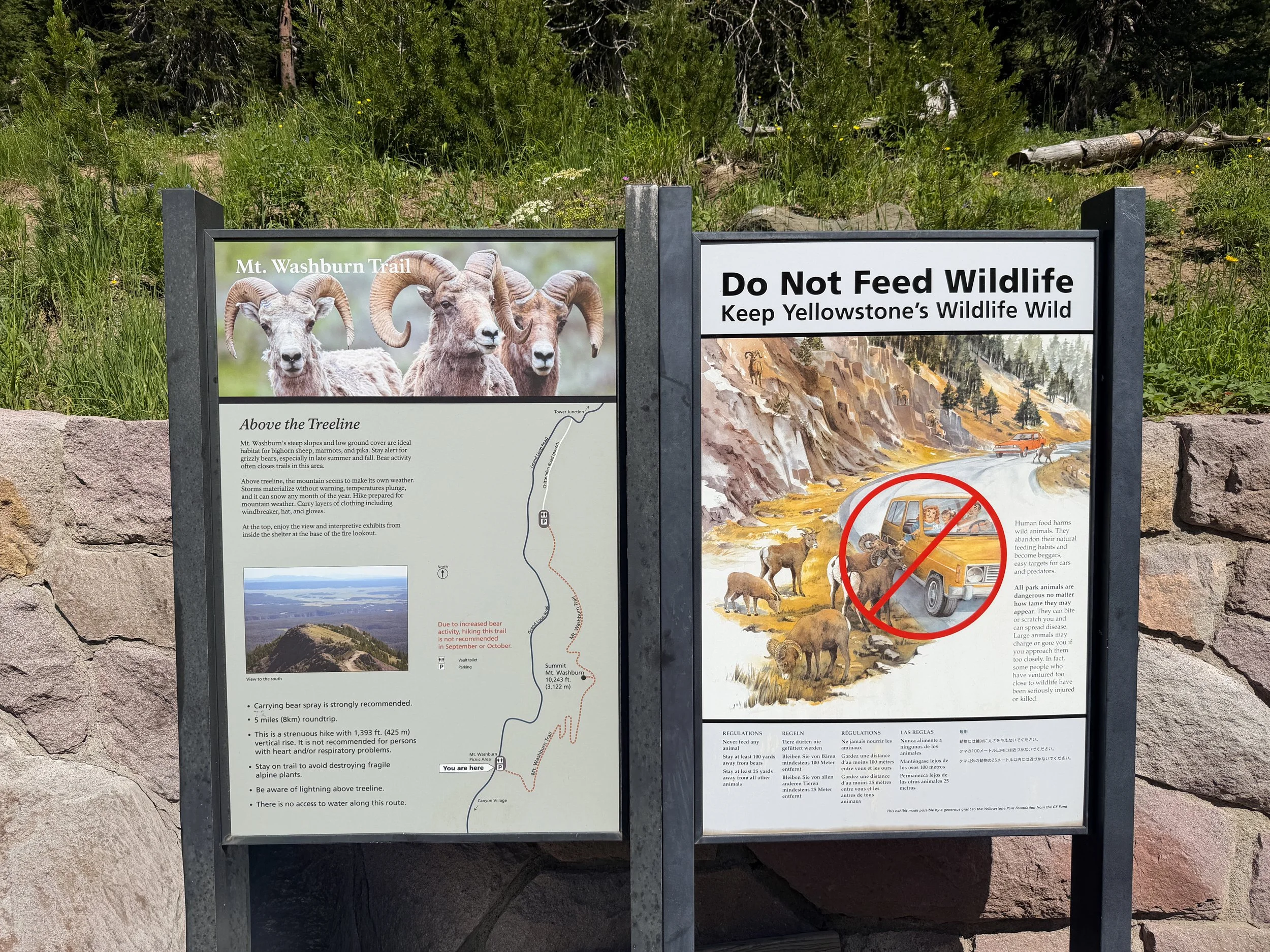 Mt. Washburn Trailhead Dunraven Pass Yellowstone National Park Wyoming