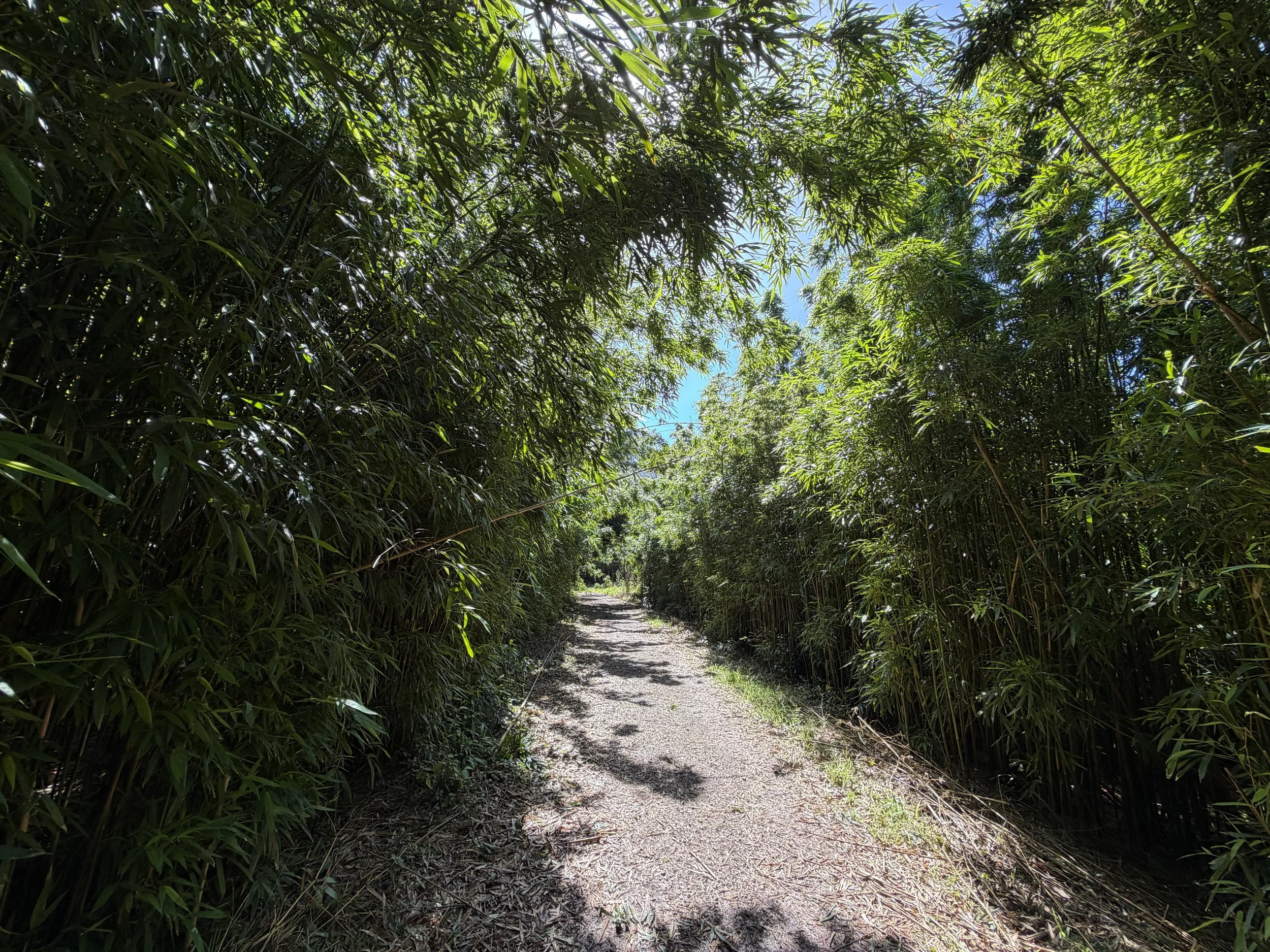 Lulumahu Falls Trail Oahu Hawaii