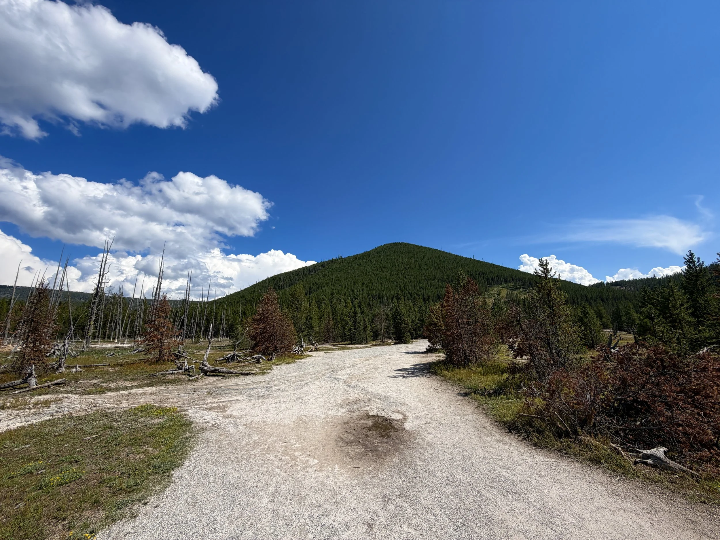 Artists Paintpots Trail Yellowstone National Park Wyoming