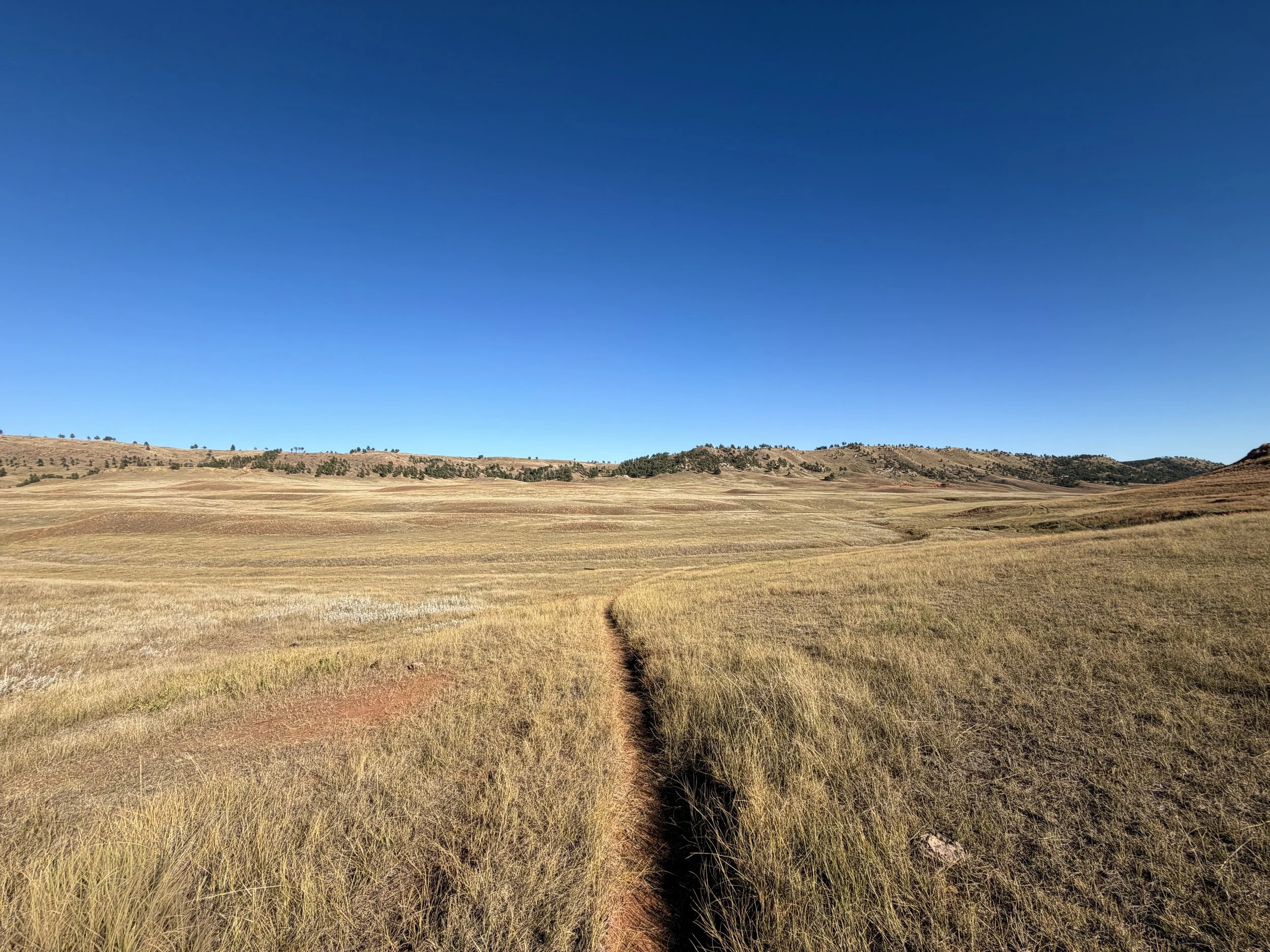 Boland Ridge Trail Wind Cave National Park South Dakota