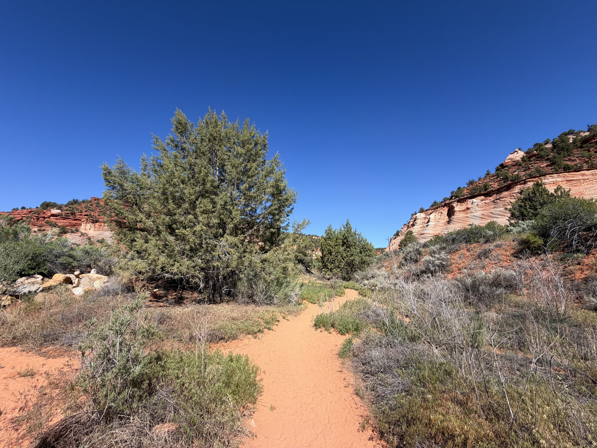 Moqui Sand Caves Hike Kanab Utah