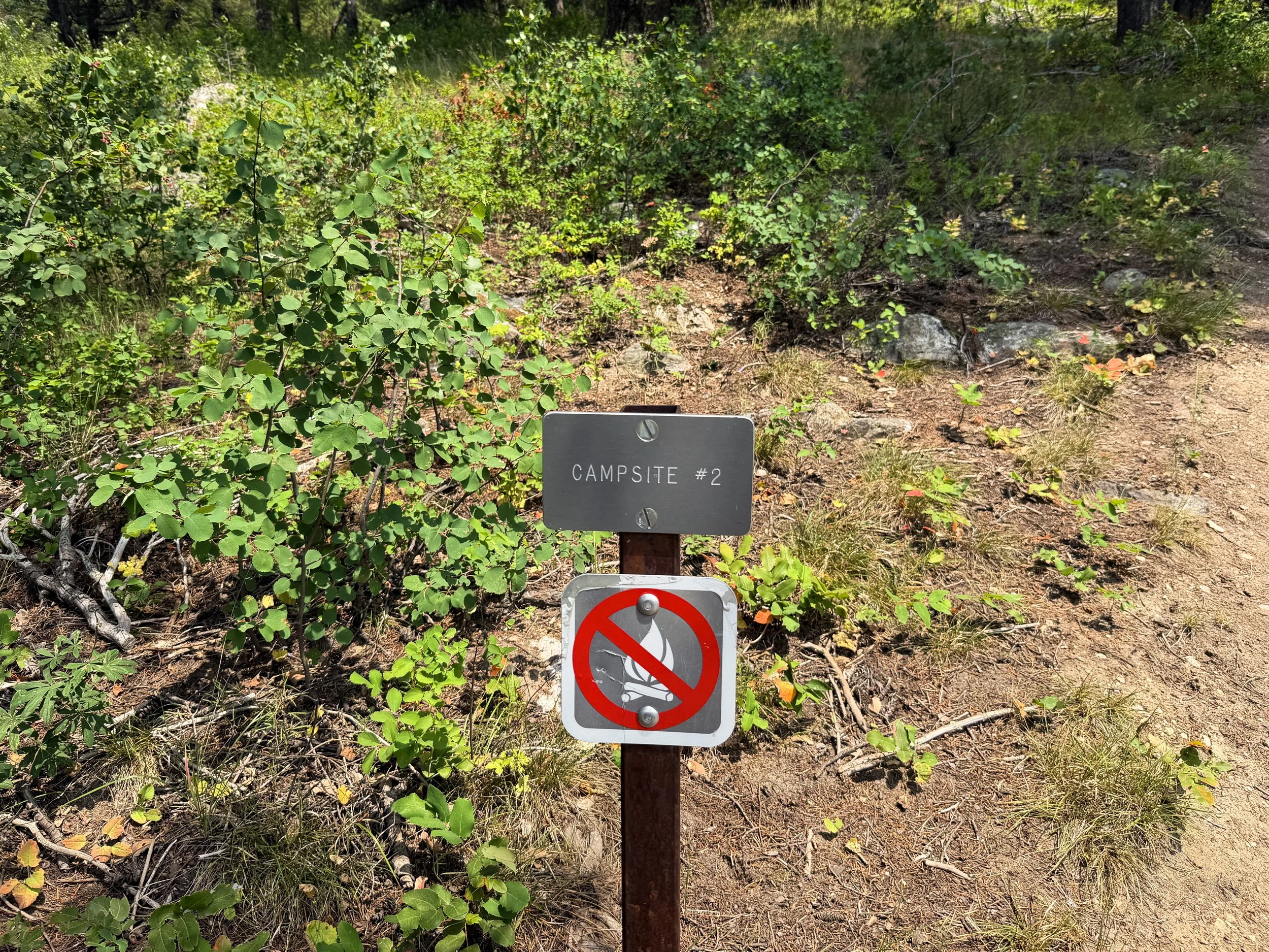 Campground Phelps Lake Loop Trail Grand Teton National Park Wyoming