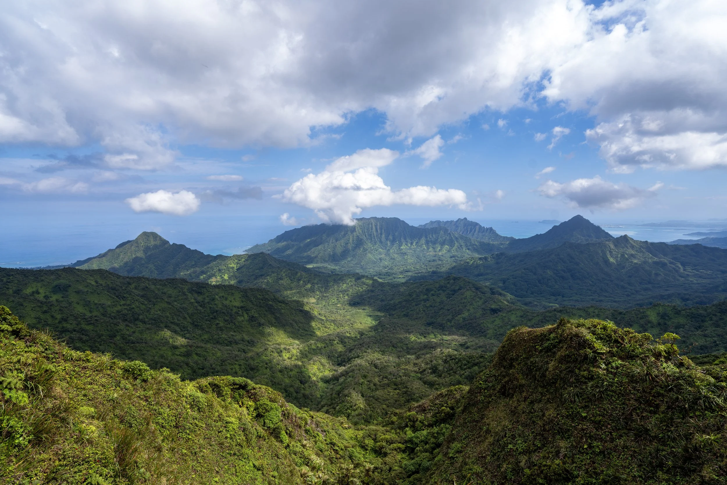Poamoho Trail Summit Oahu Hawaii