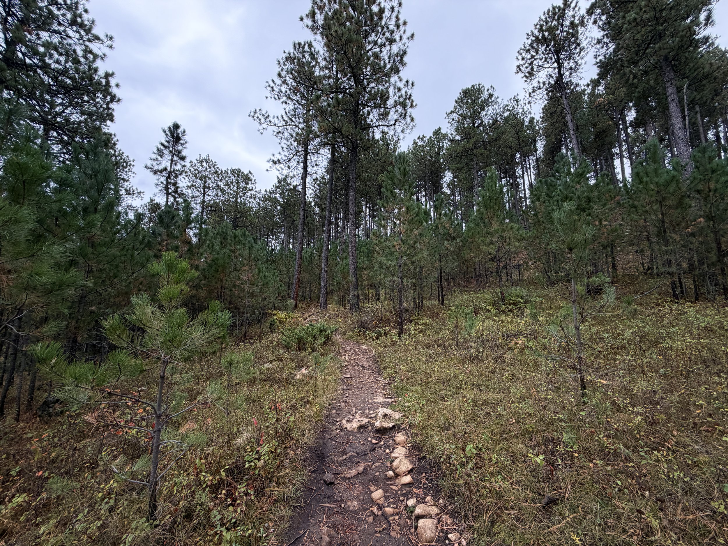 Buzzards Roost Hike Black Hills South Dakota