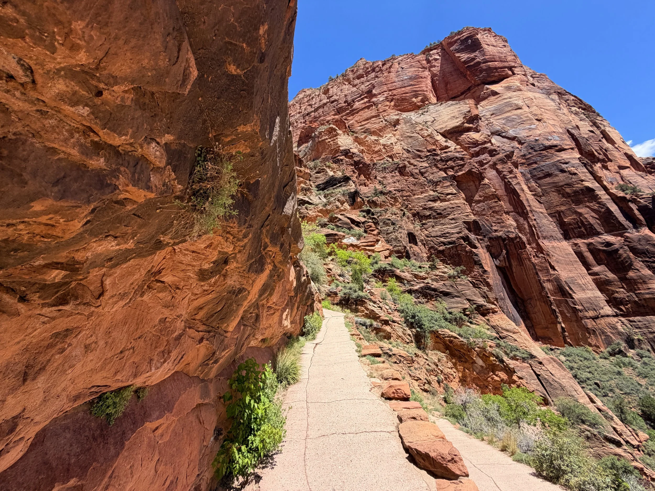 Angels Landing Trail Zion National Park Utah