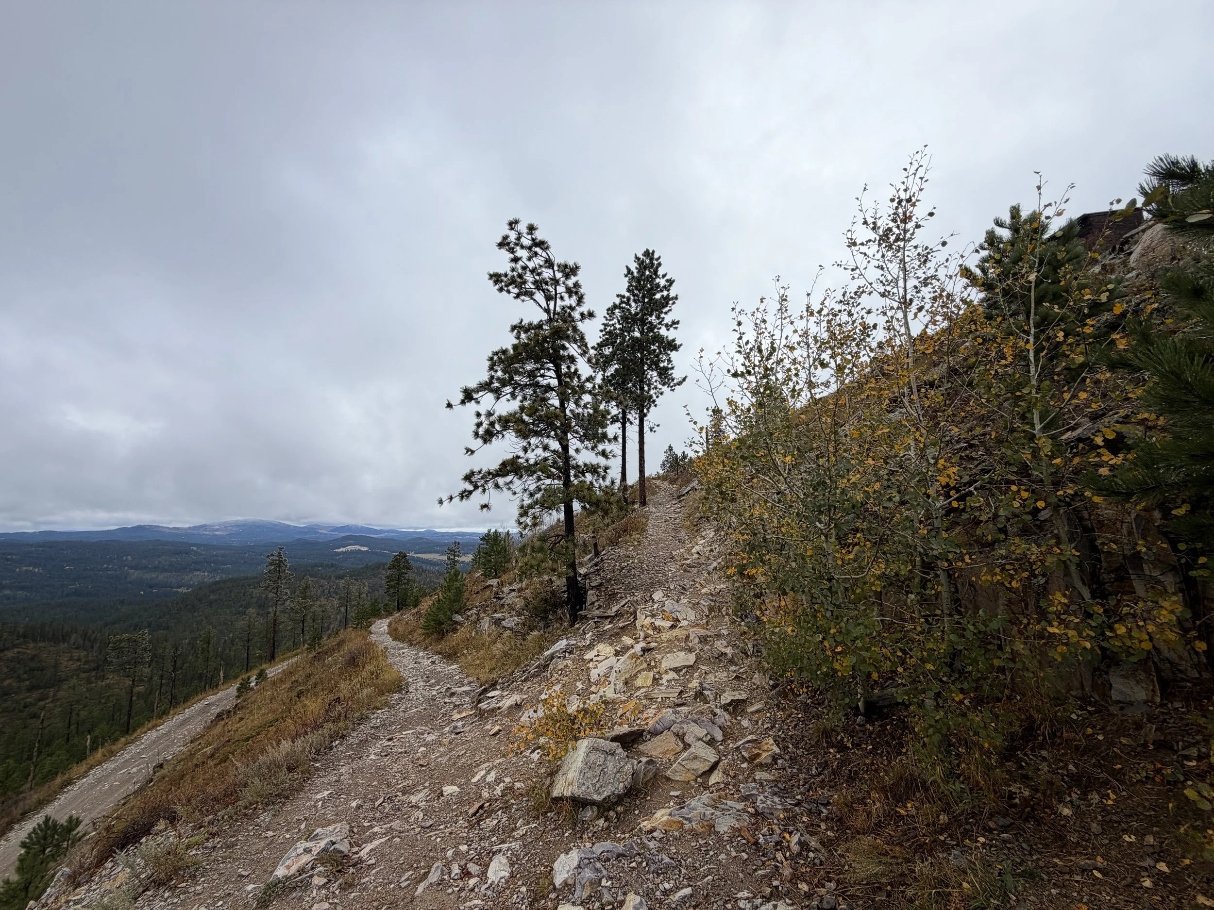 Custer Peak Trail Black Hills South Dakota