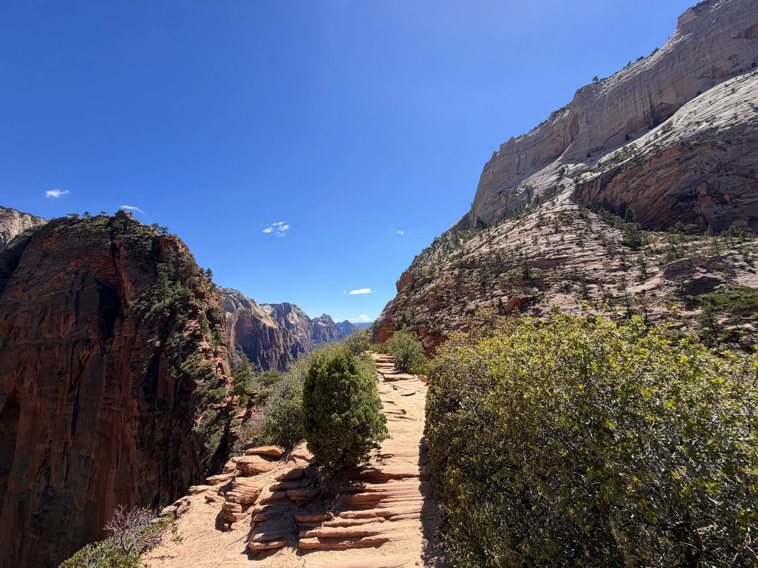 Angels Landing Trail Chains Zion National Park Utah