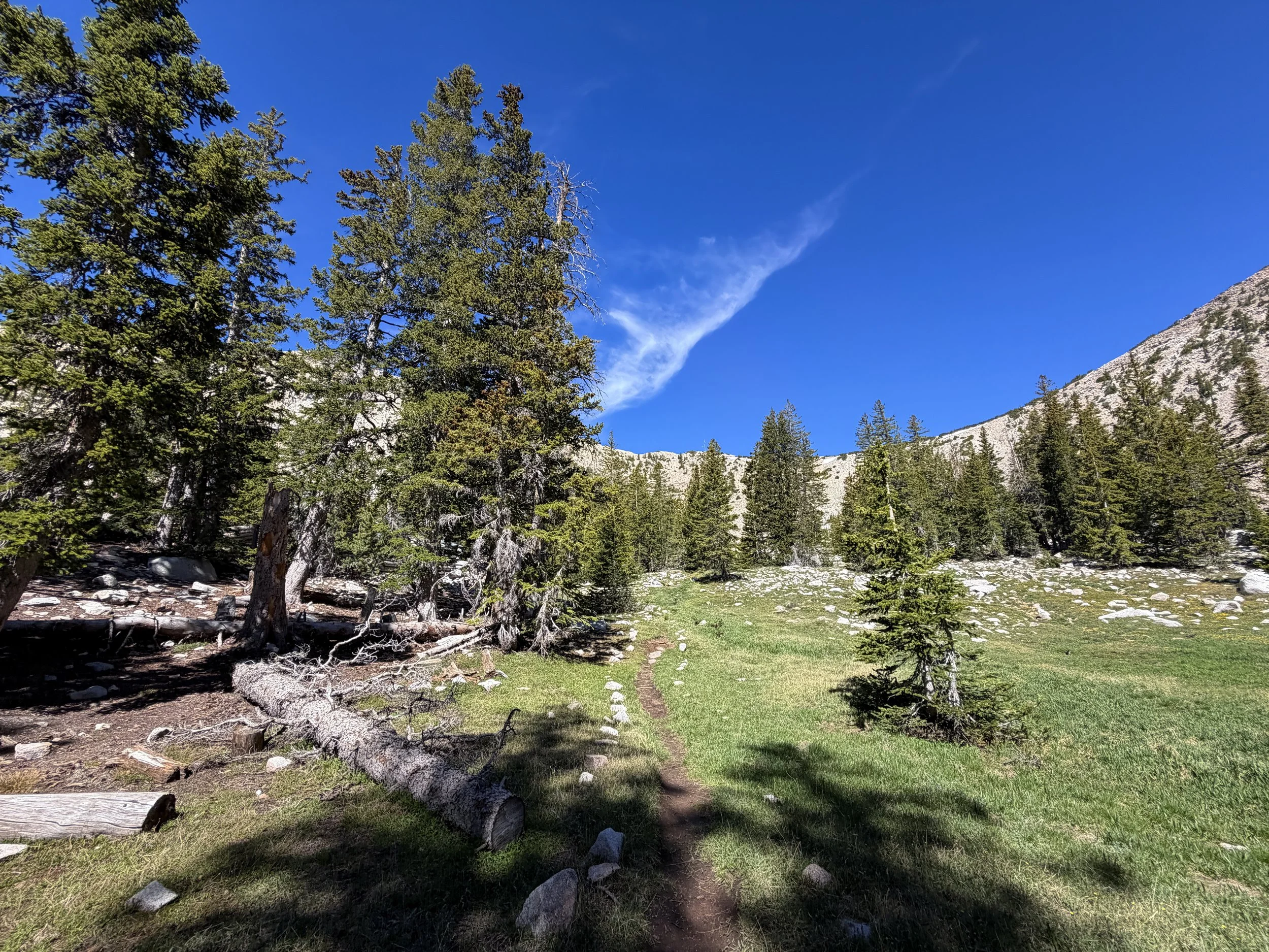 Johnson Lake Trail Great Basin National Park Nevada
