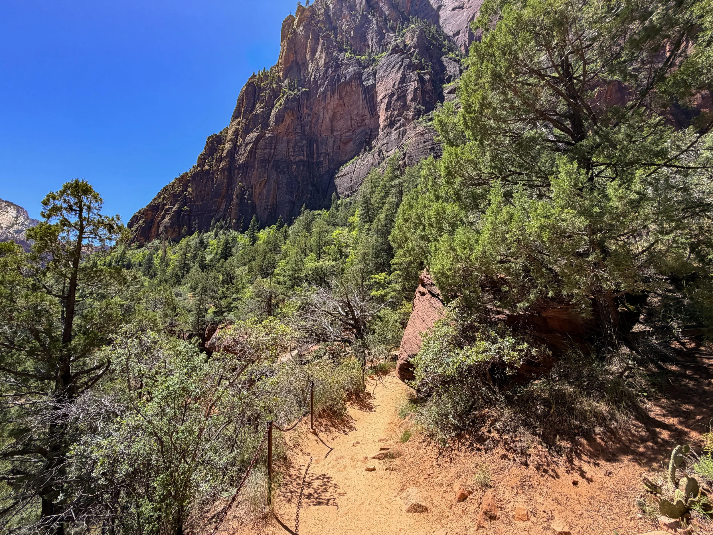 Middle Emerald Pool Trail Zion National Park Utah