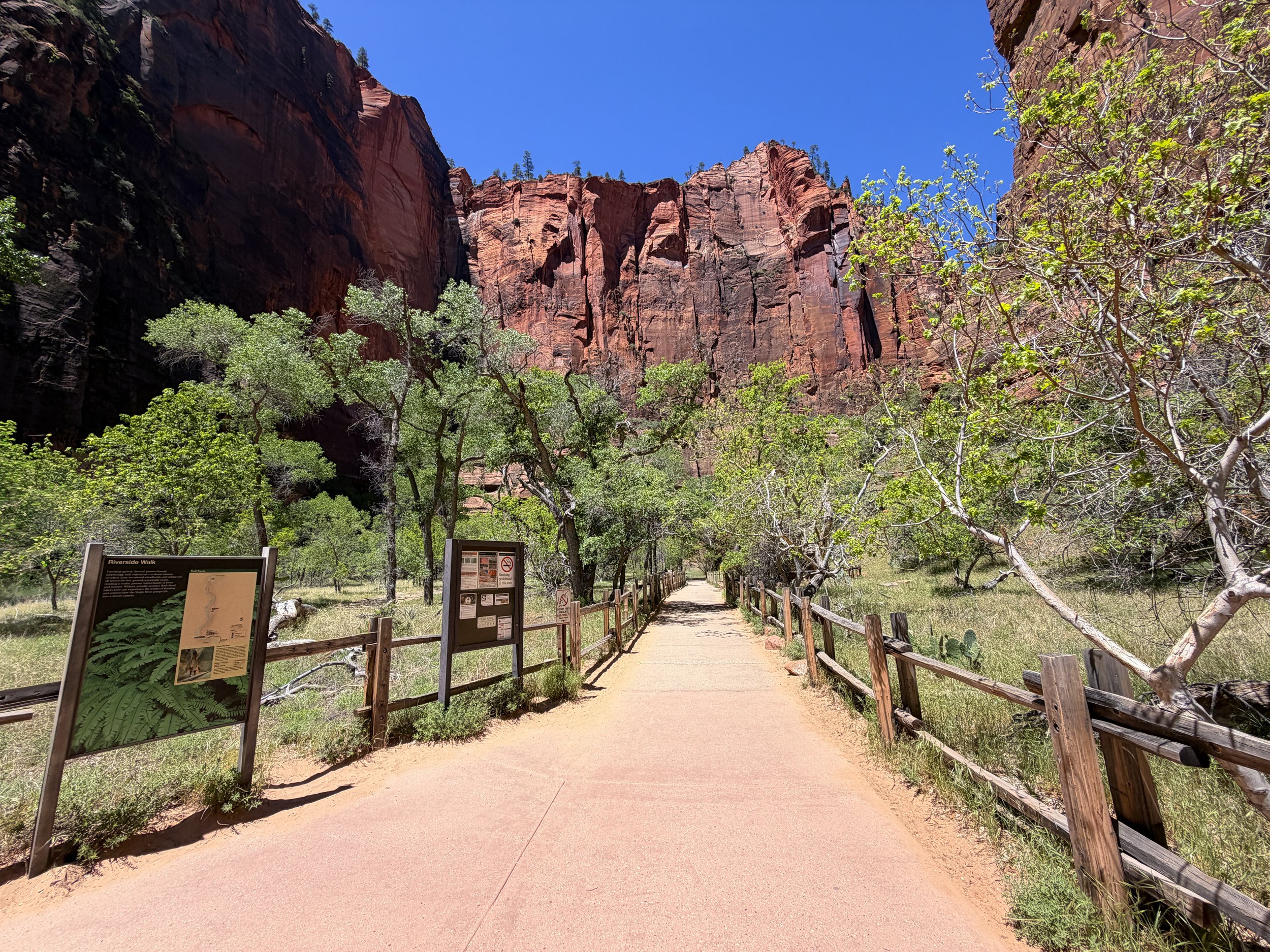 Riverside Walk Trailhead Zion National Park Utah