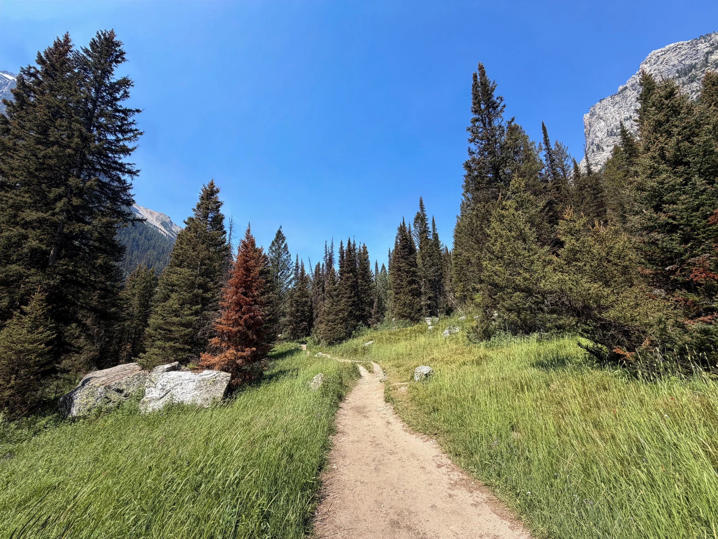 Cascade Canyon Trail Grand Teton National Park Wyoming