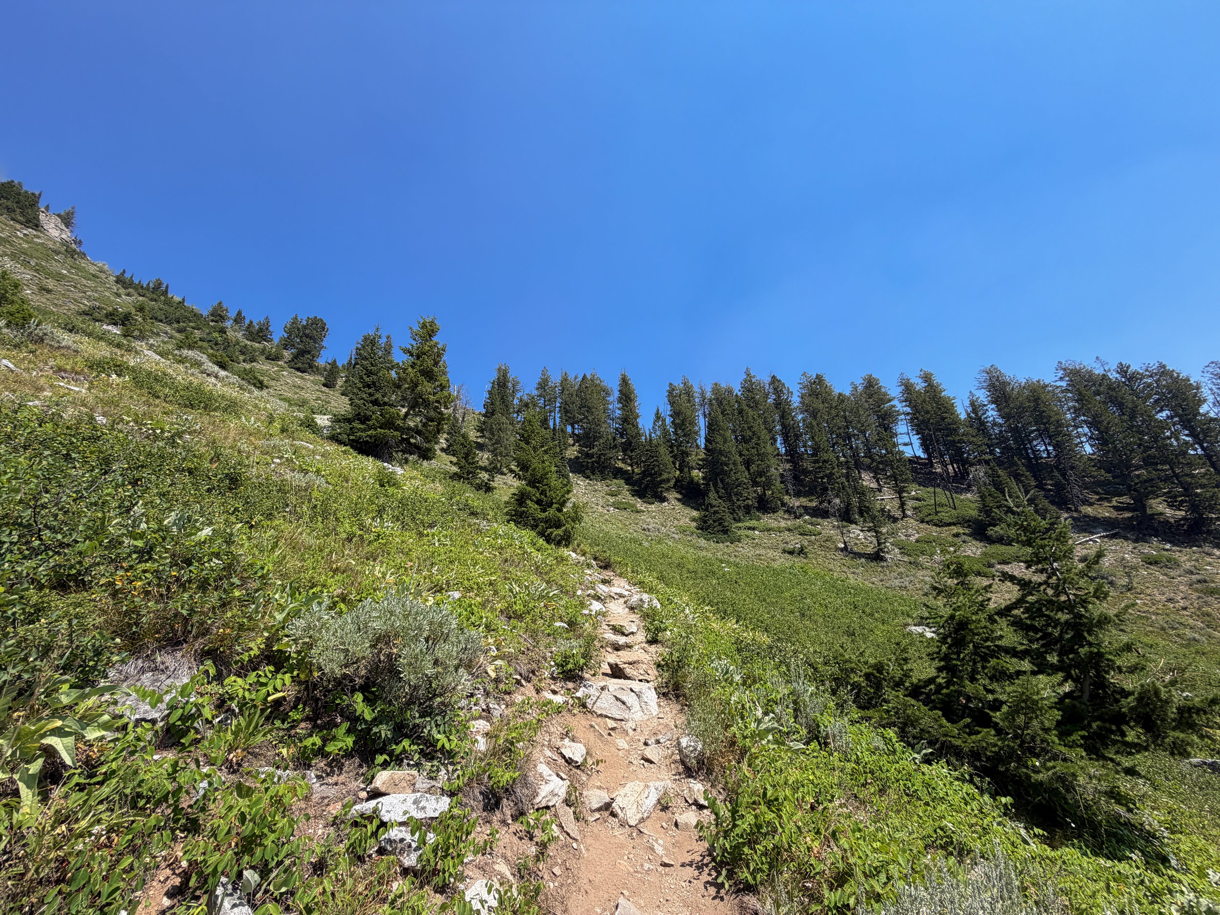 Lake of the Crags Hike Grand Teton National Park Wyoming
