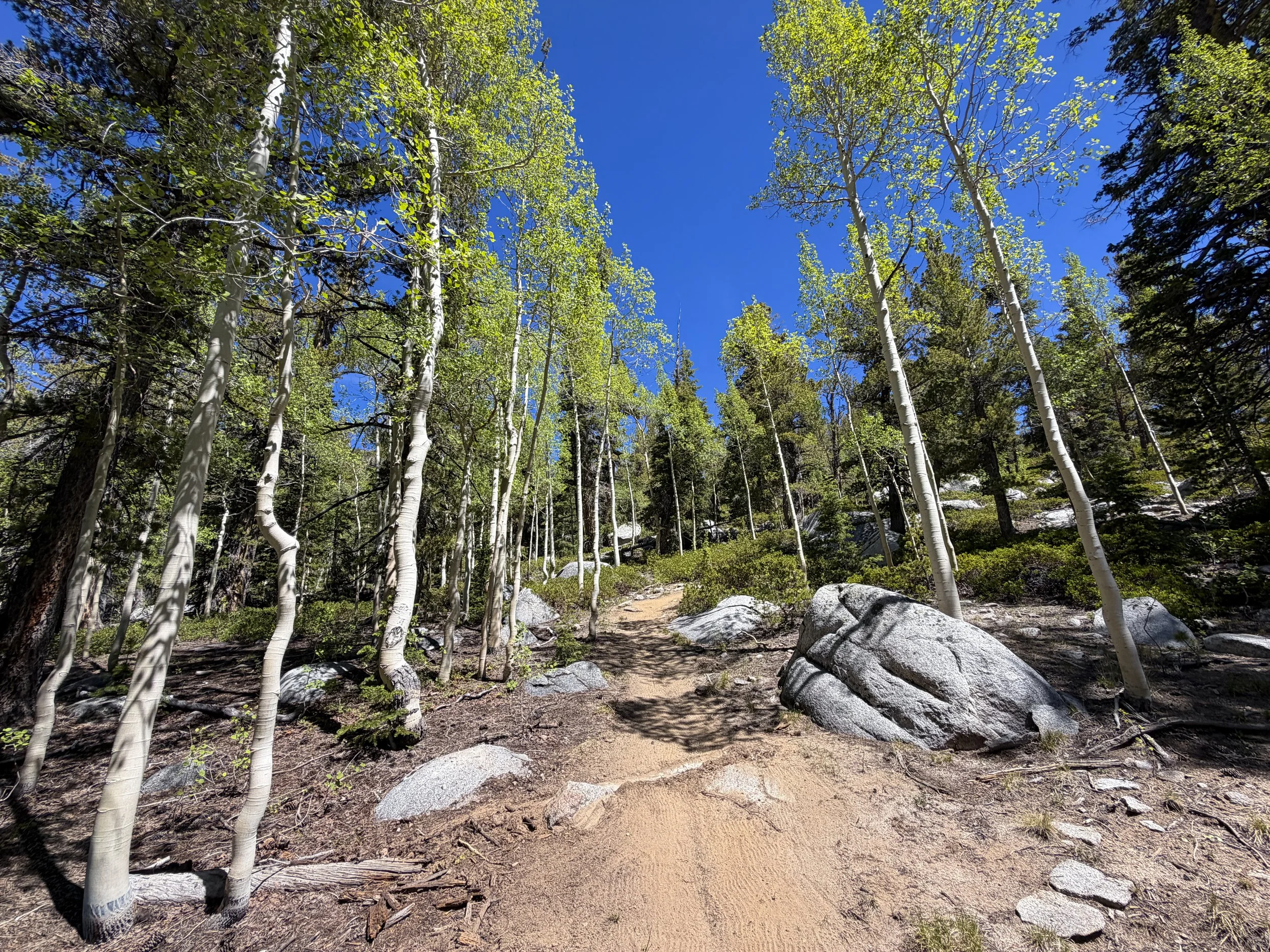 Dead Lake Trail Great Basin National Park Nevada