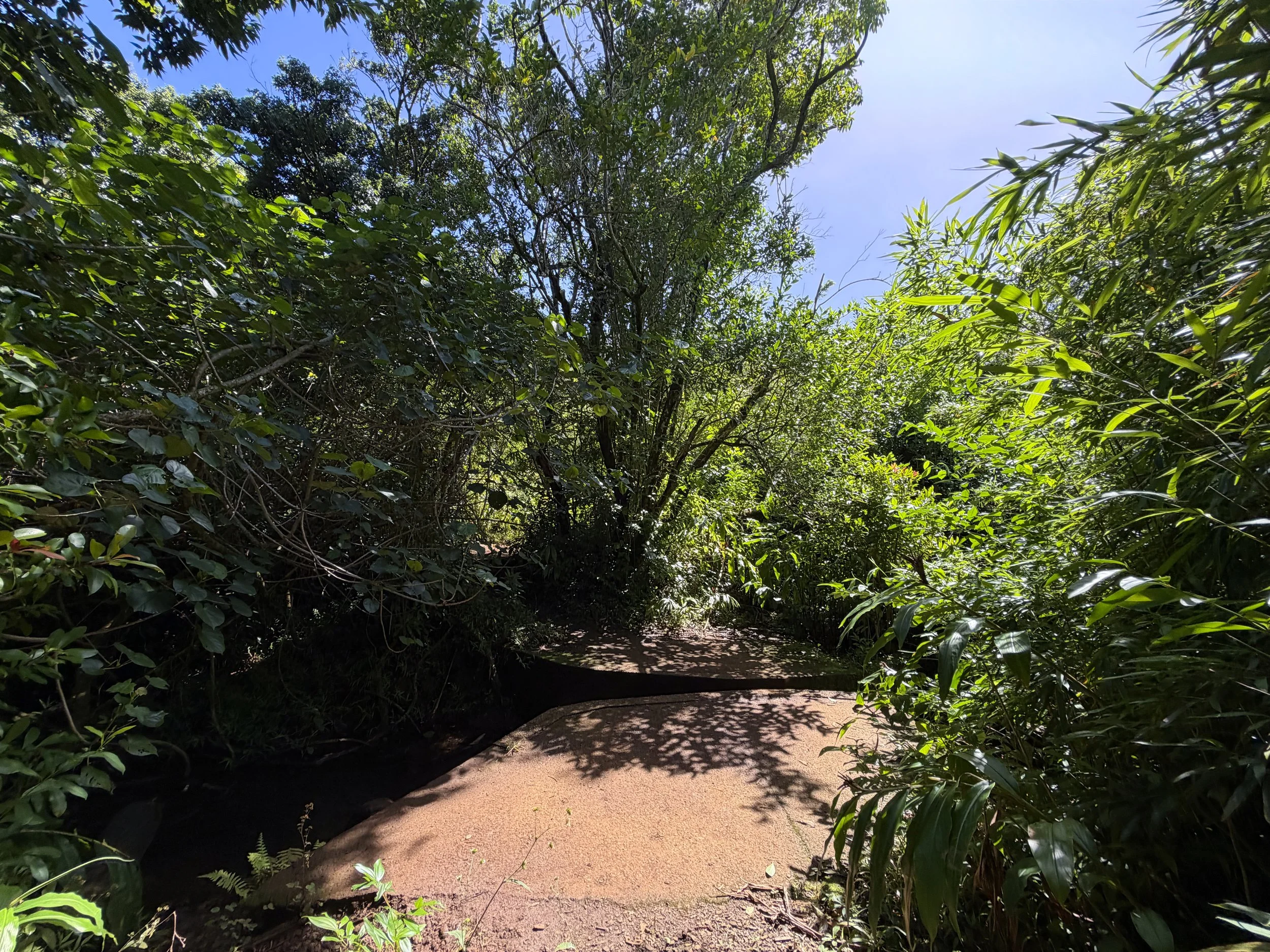 Lulumahu Falls Trail Oahu Hawaii