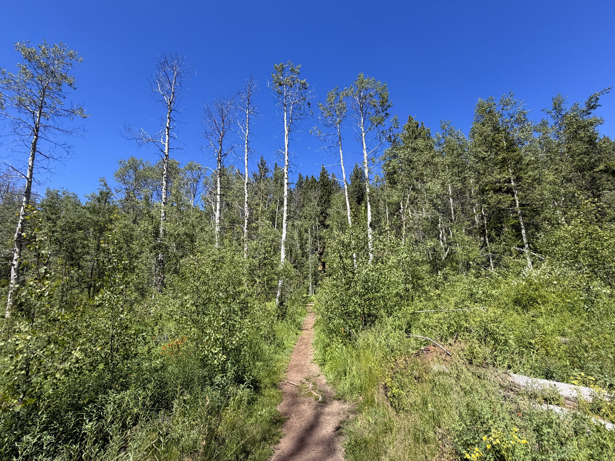 Spooner Lake Loop Trail Lake Tahoe Nevada
