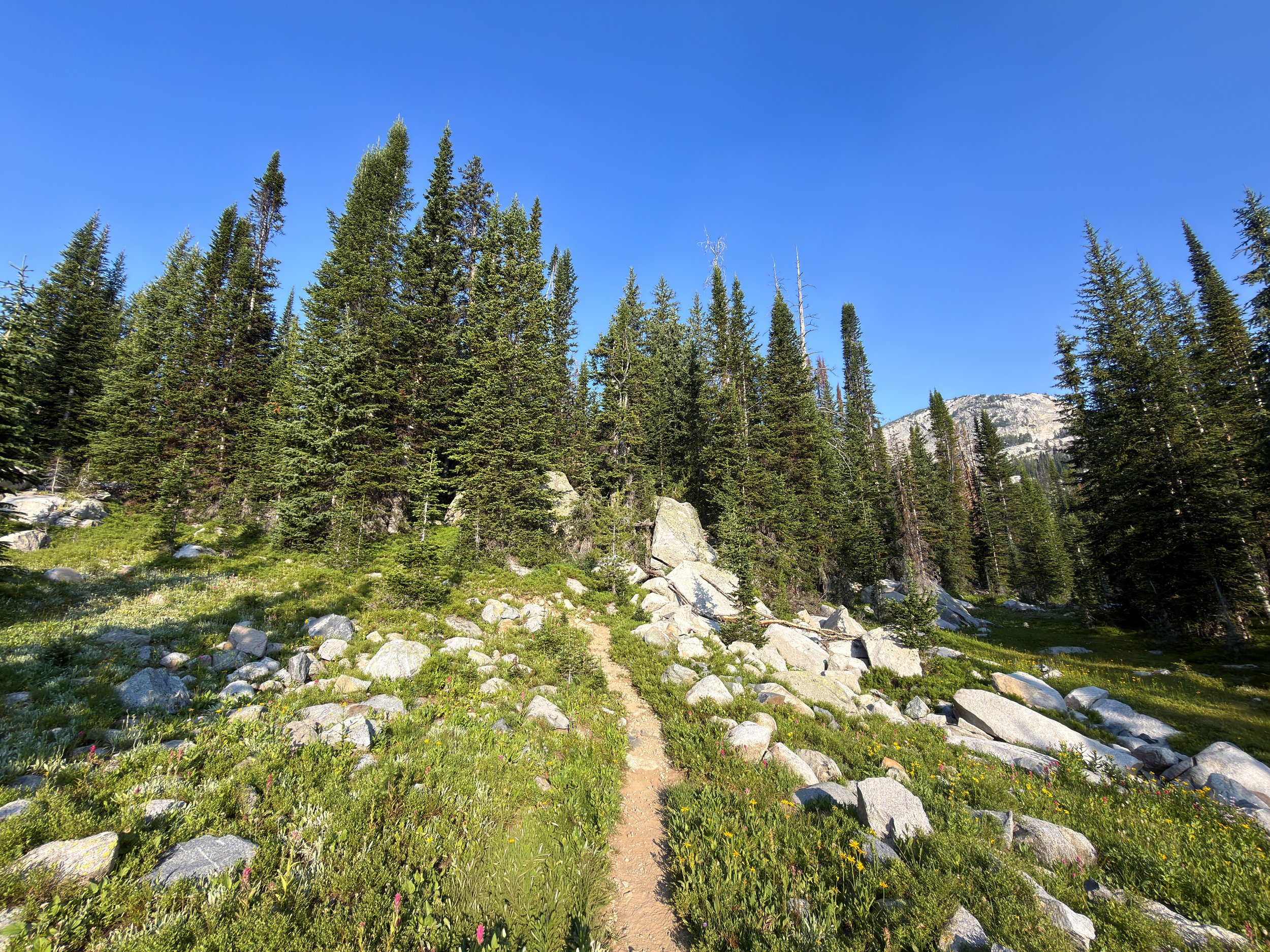 Beaten Path Trail Beartooth Mountains Montana