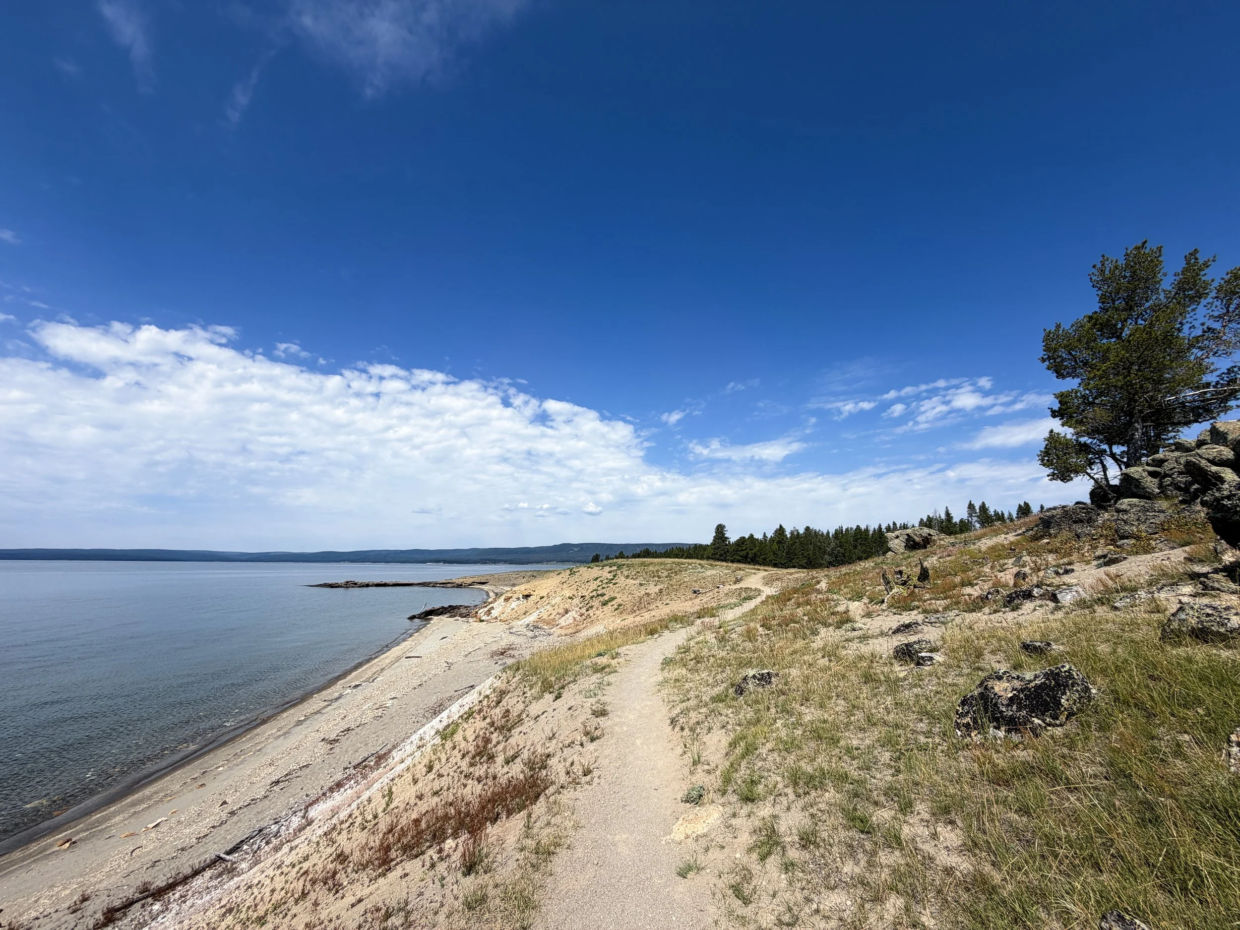Storm Point Trail Yellowstone National Park Wyoming