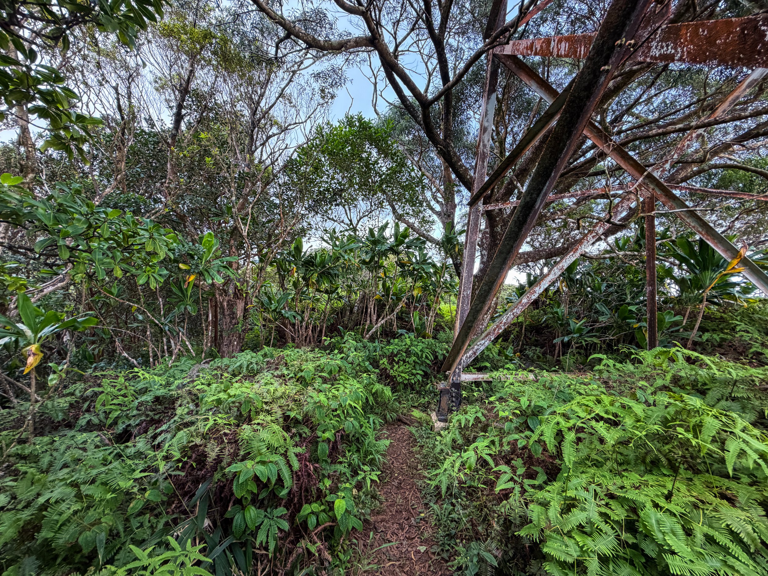 Kaau Crater Trail Oahu Hawaii