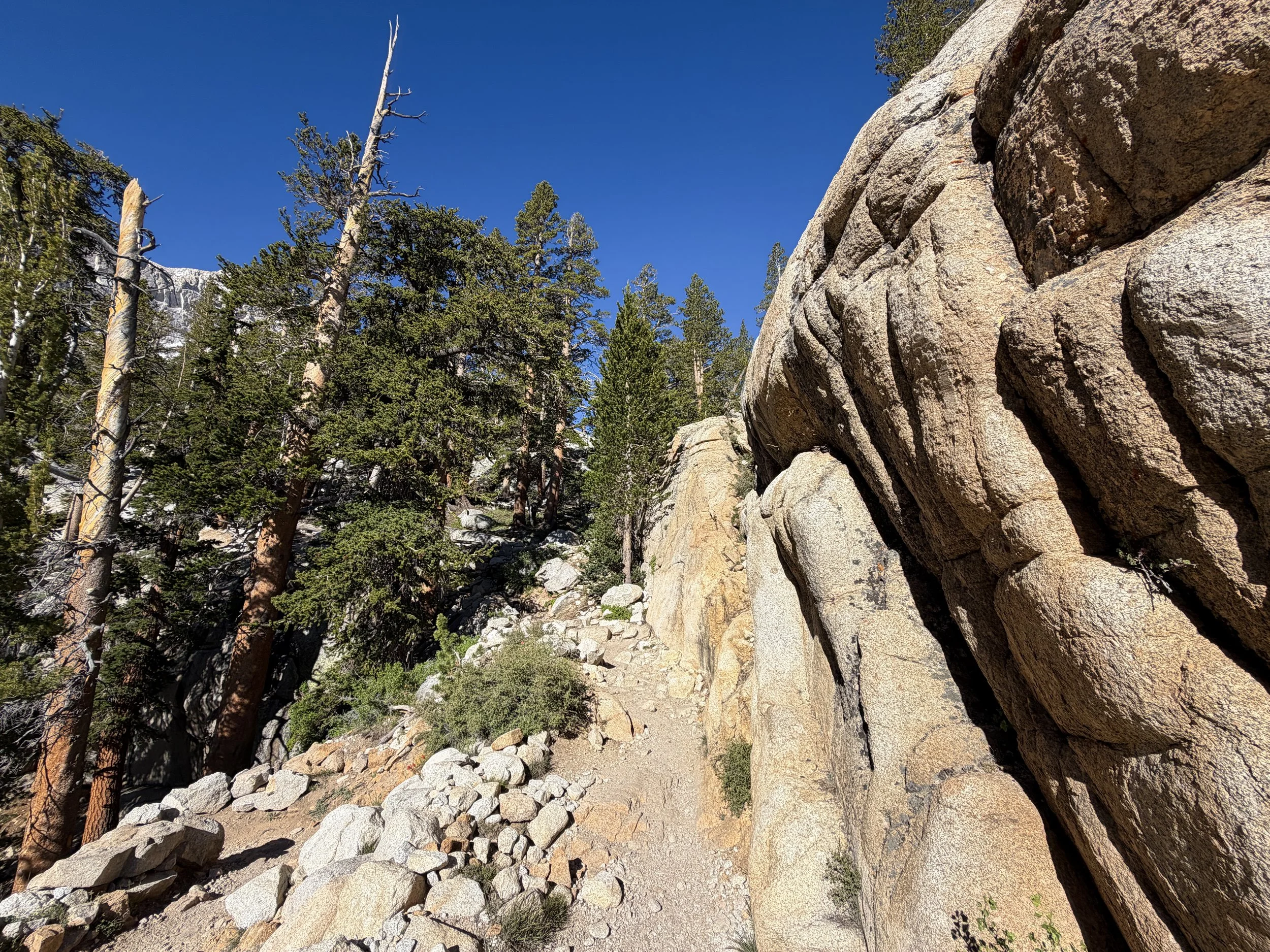 Mount Whitney Trail California
