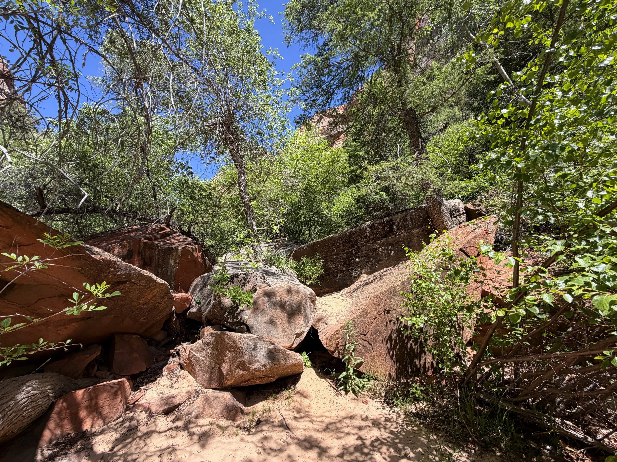 Subway Trail Zion National Park Utah