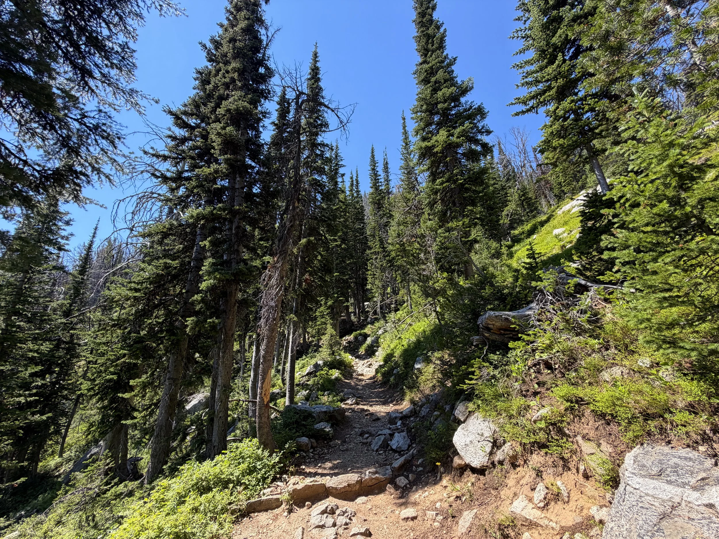 Surprise and Amphitheater Lakes Trail Grand Teton National Park Wyoming