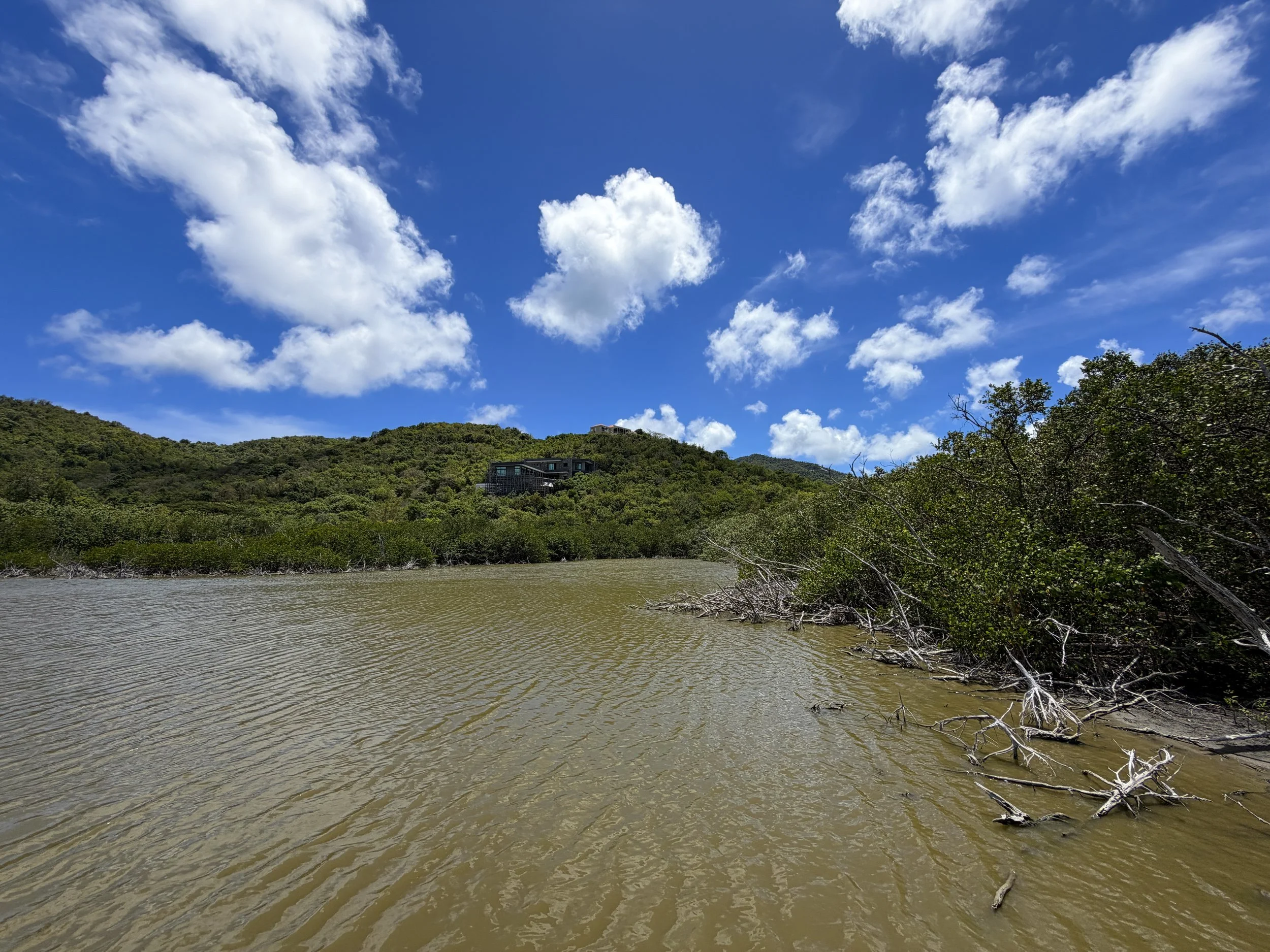 Francis Bay Salt Water Pond Virgin Islands National Park