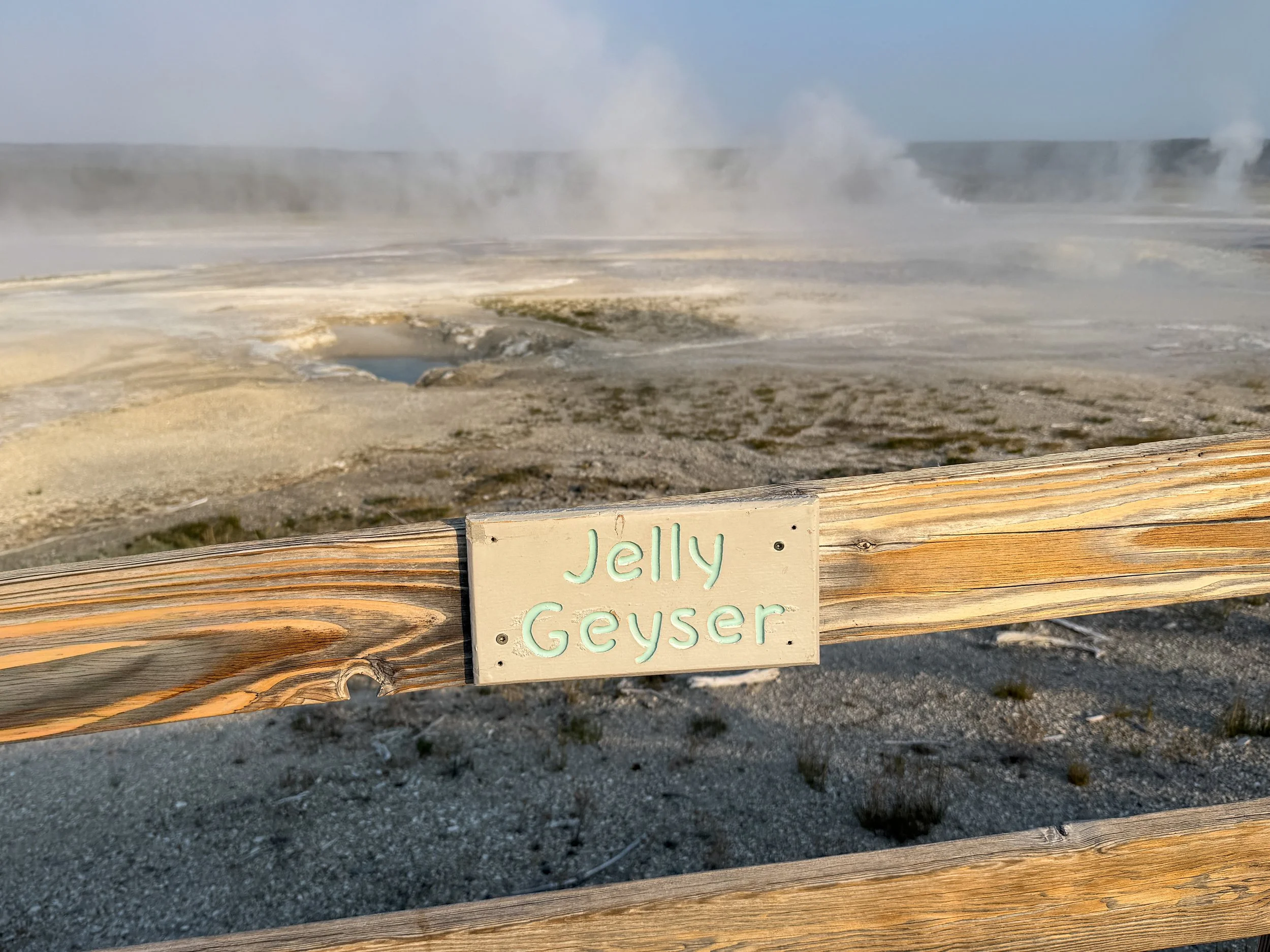 Jelly Geyser Fountain Paint Pot Trail Yellowstone National Park Wyoming