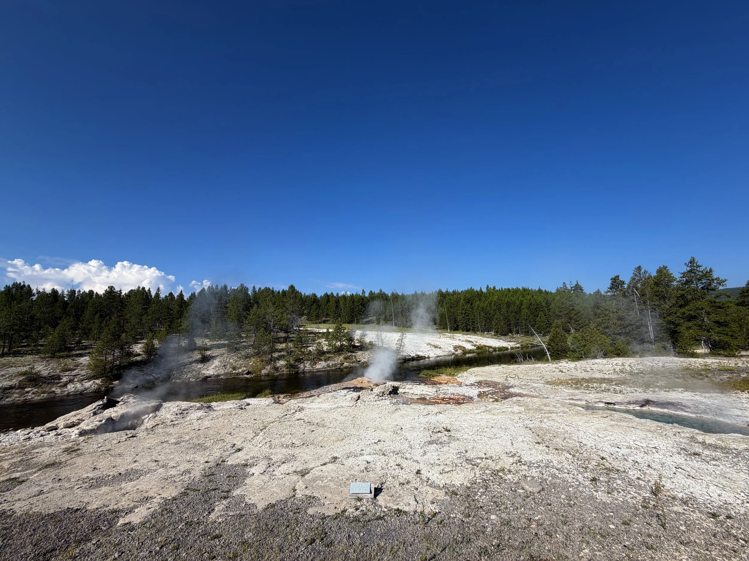 Mortar Geyser Yellowstone National Park Wyoming