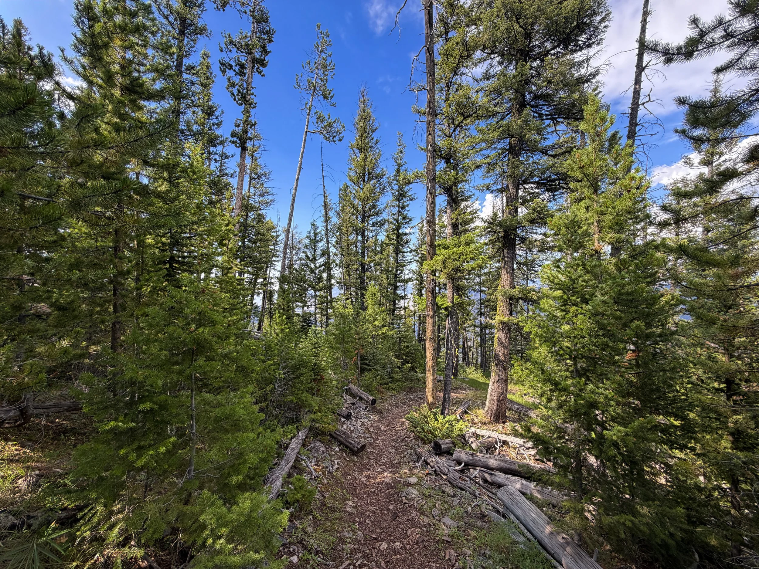 Bunsen Peak Hike Yellowstone National Park Wyoming