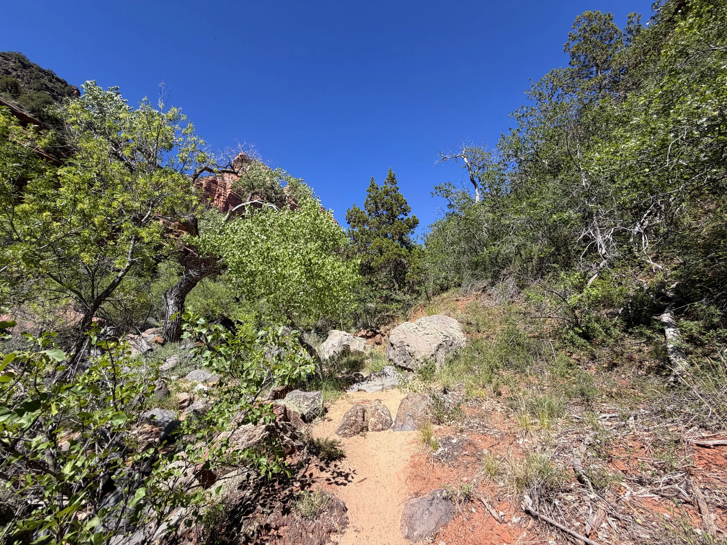 Subway Trail via Left Fork Trailhead Zion National Park Utah