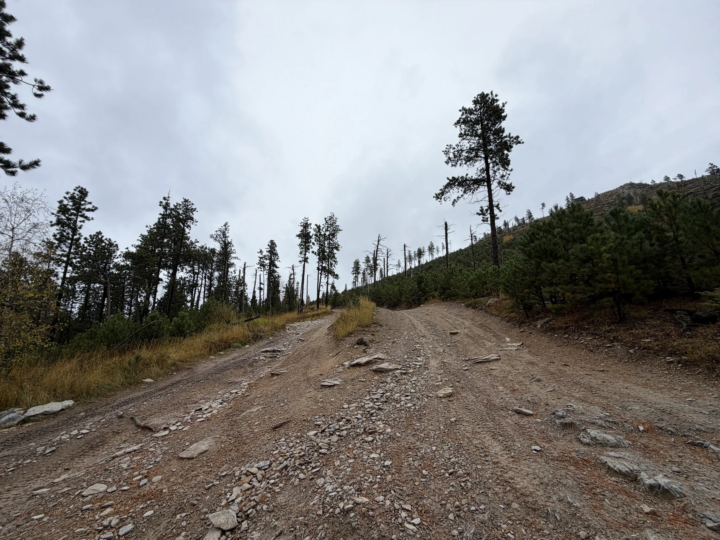 Custer Peak Hike Black Hills South Dakota