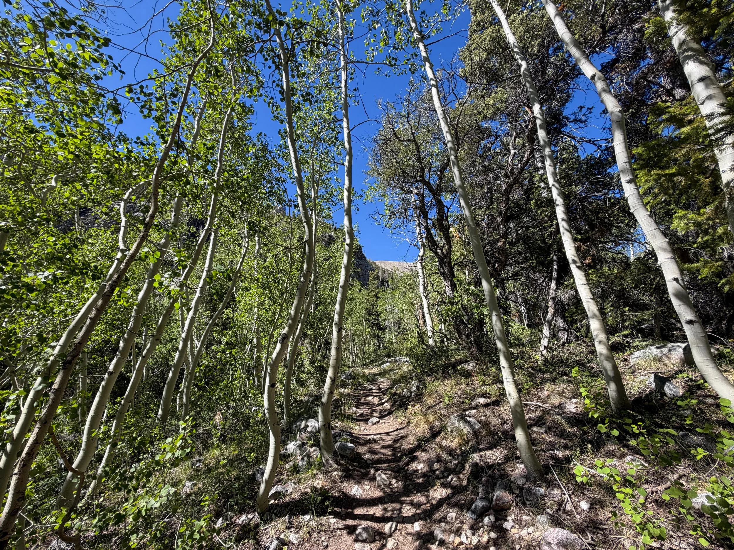 Baker Lake Hike Great Basin National Park Nevada