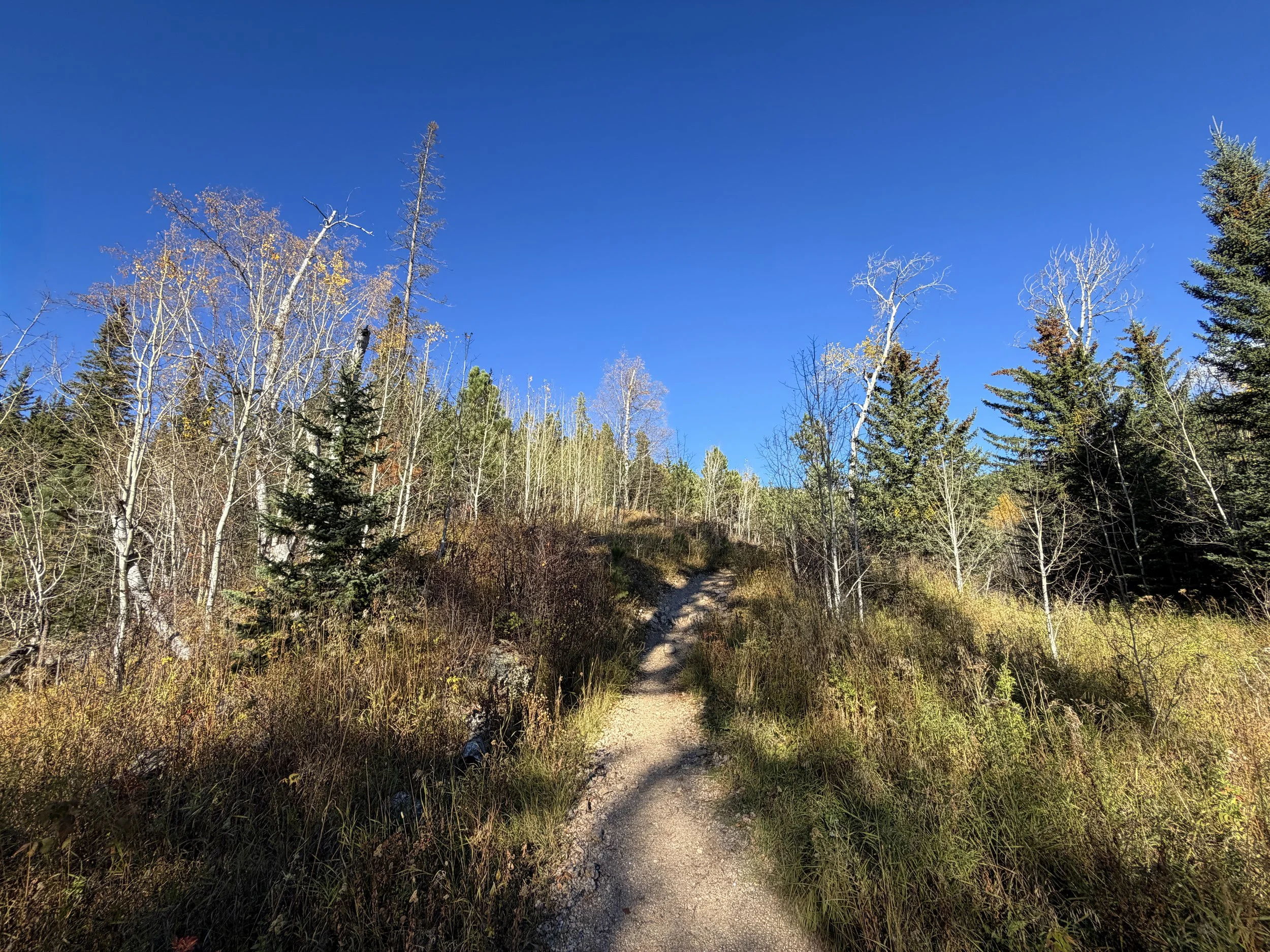 Little Devils Tower Trail Custer State Park Black Hills South Dakota