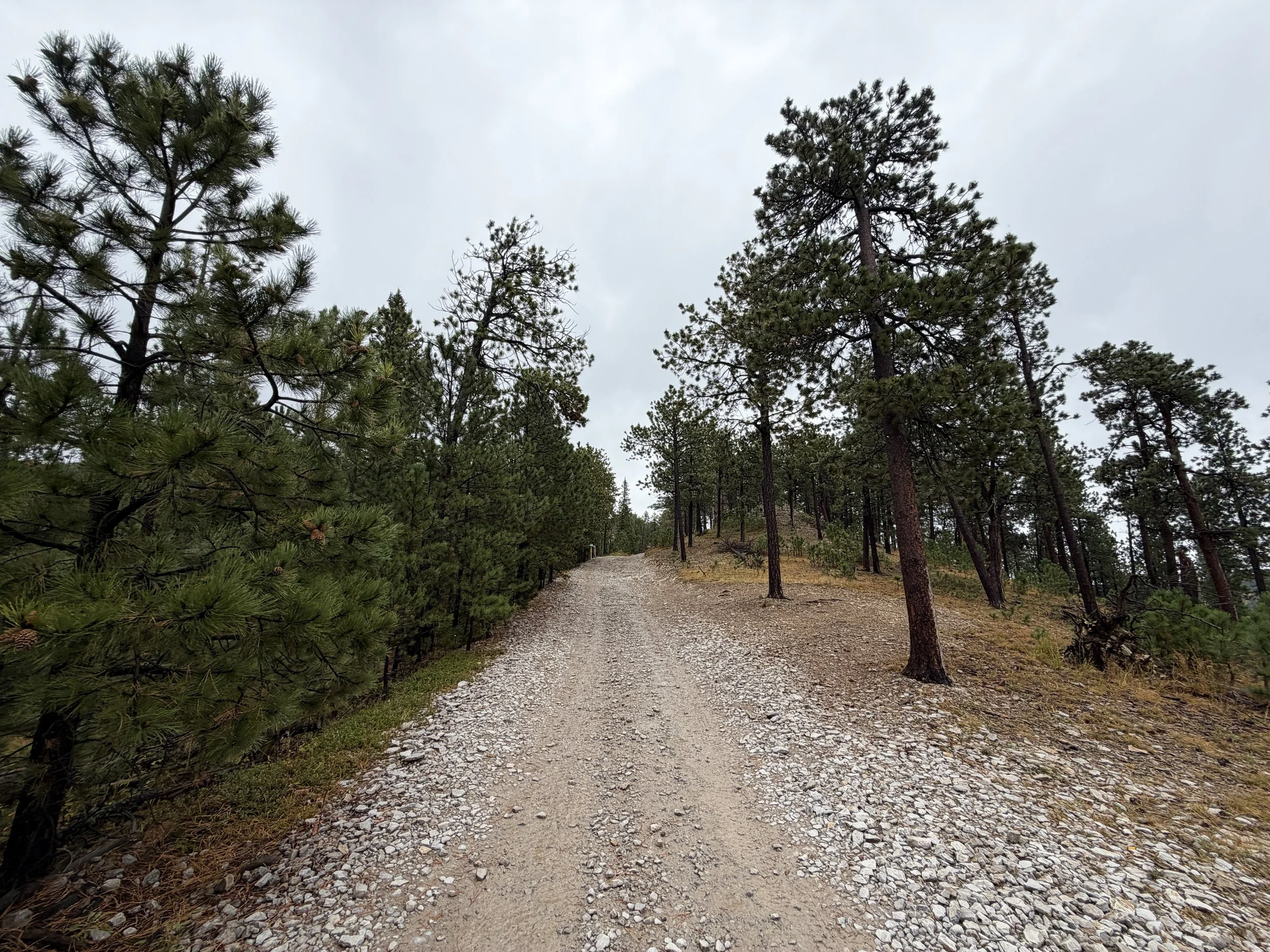 Custer Peak Fire Lookout Trail Black Hills South Dakota