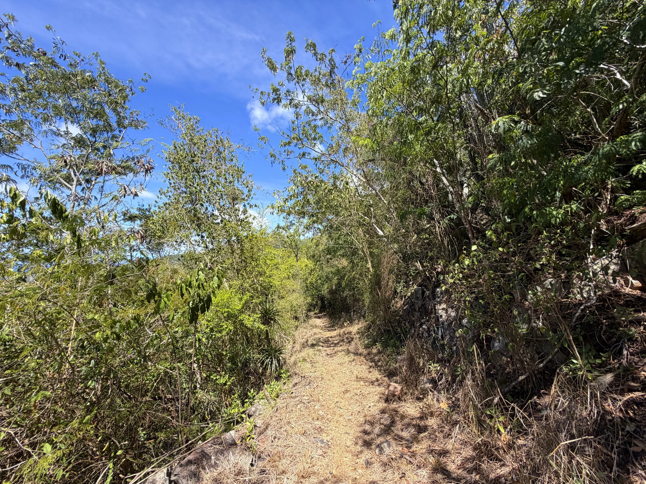 Lameshur Bay Trail to Petroglyph Trail Virgin Islands National Park