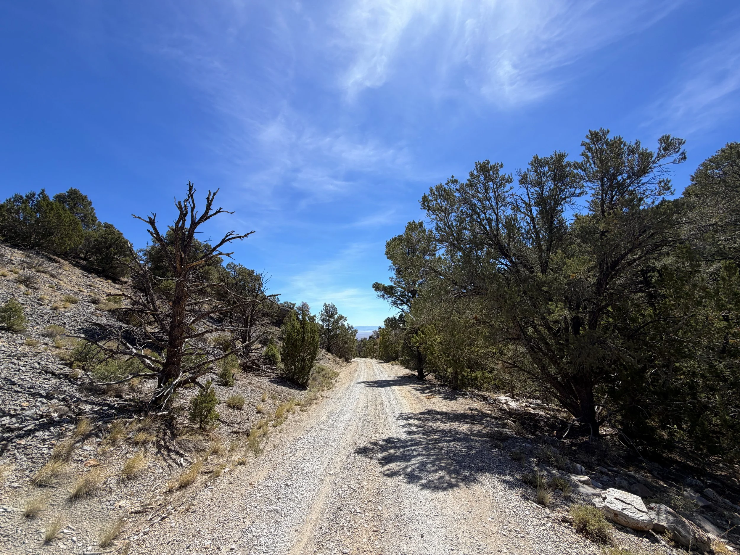 Pole Canyon Loop Trail Great Basin National Park Nevada