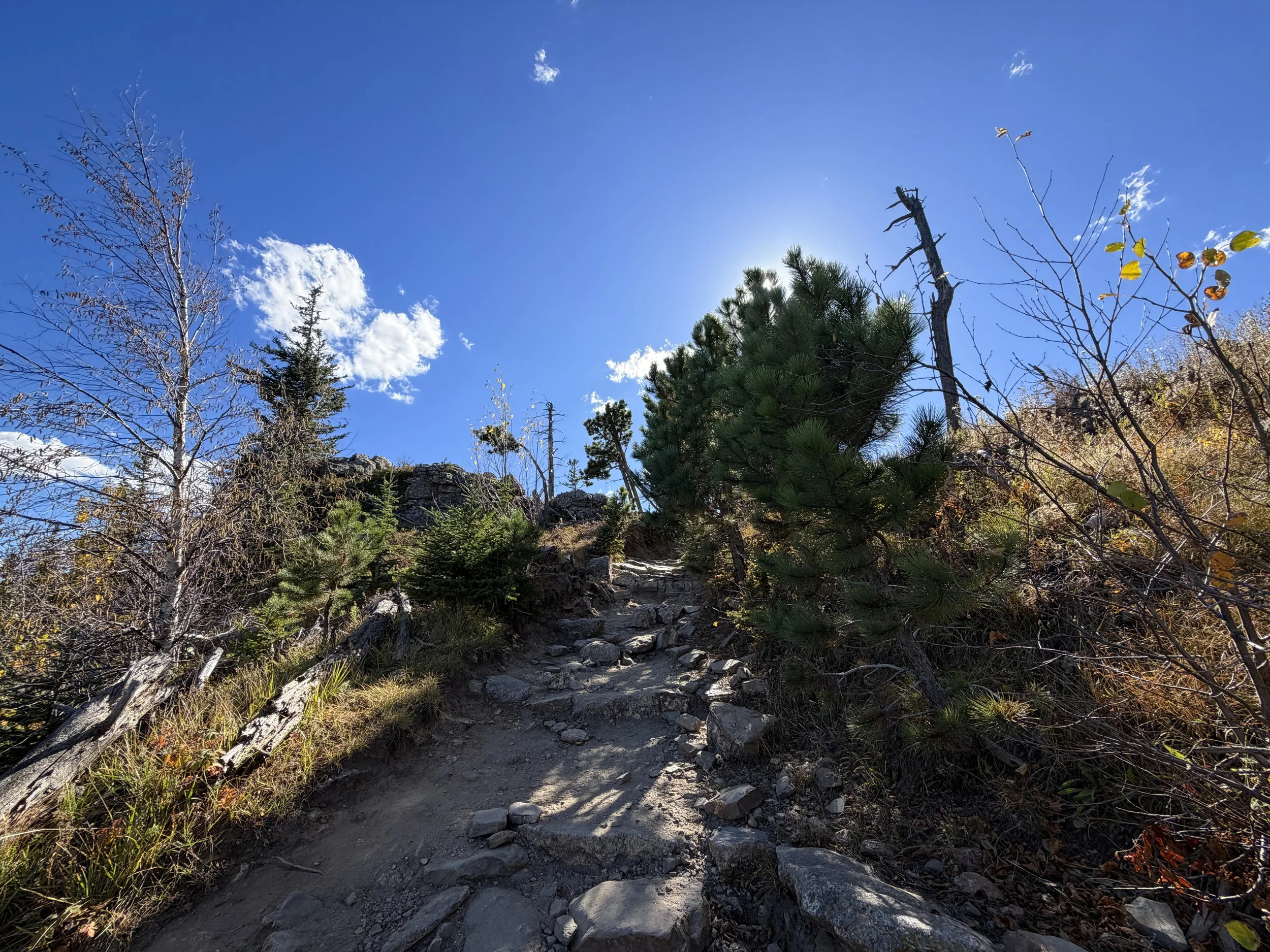Black Elk Peak Trail Black Hills South Dakota