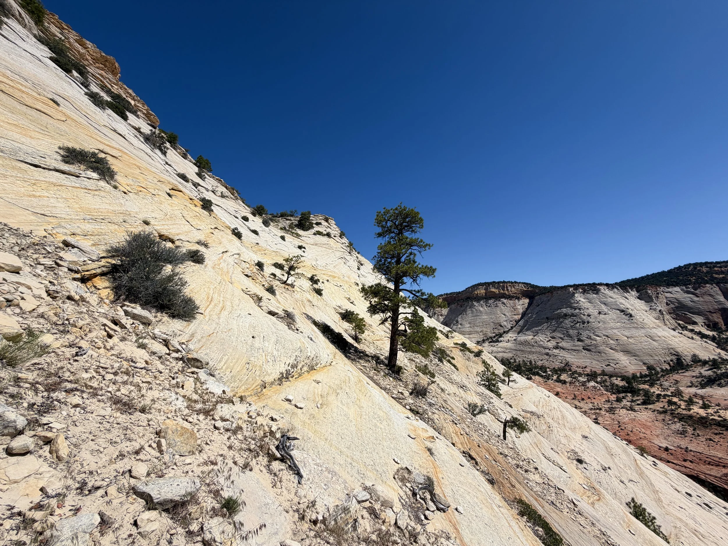 South Ariel Peak Hike Zion National Park Utah