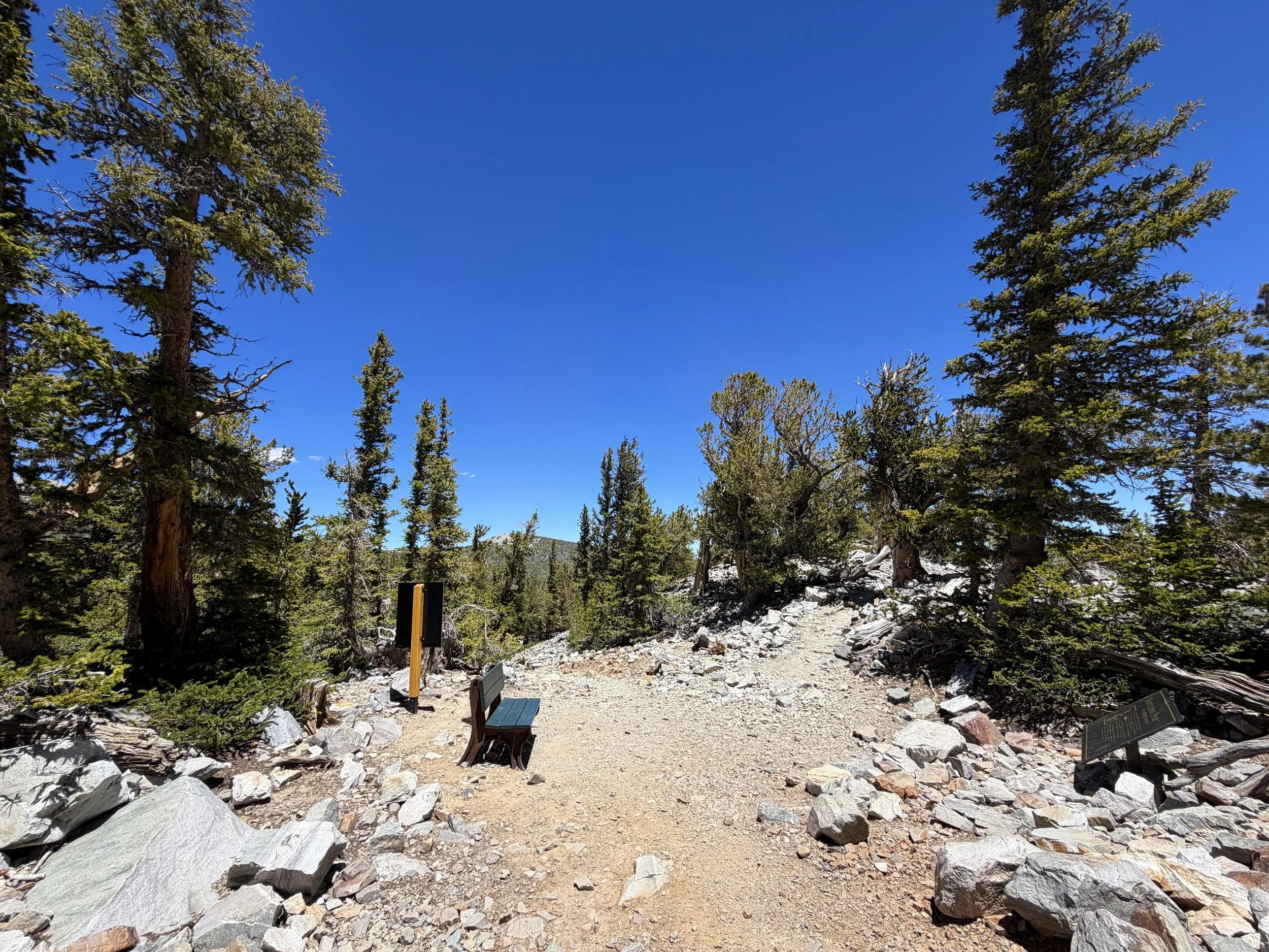 Bristlecone Pine Interpretive Loop Trail Great Basin National Park Nevada