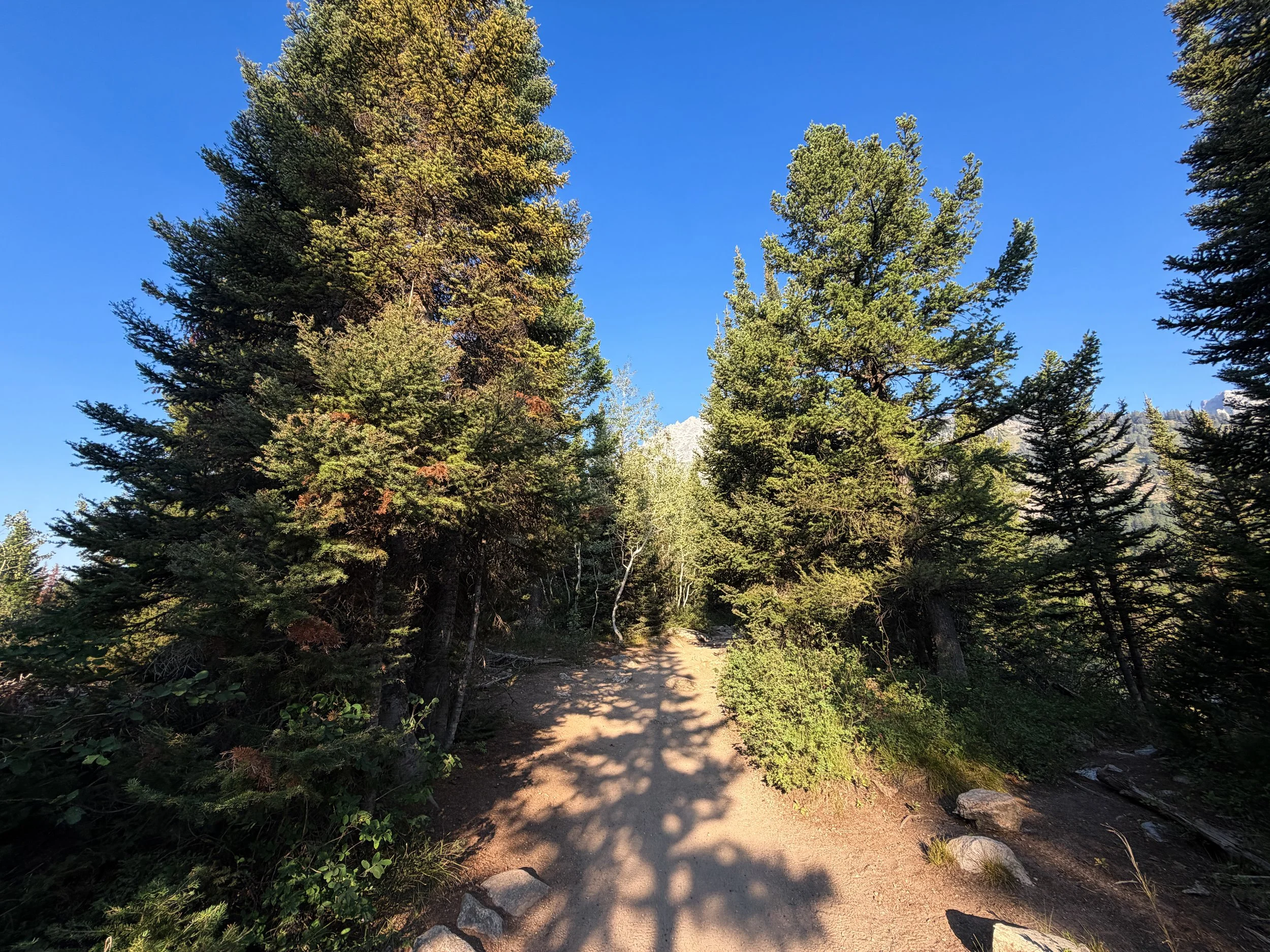 Hidden Falls via Jenny Lake Trail Grand Teton National Park Wyoming