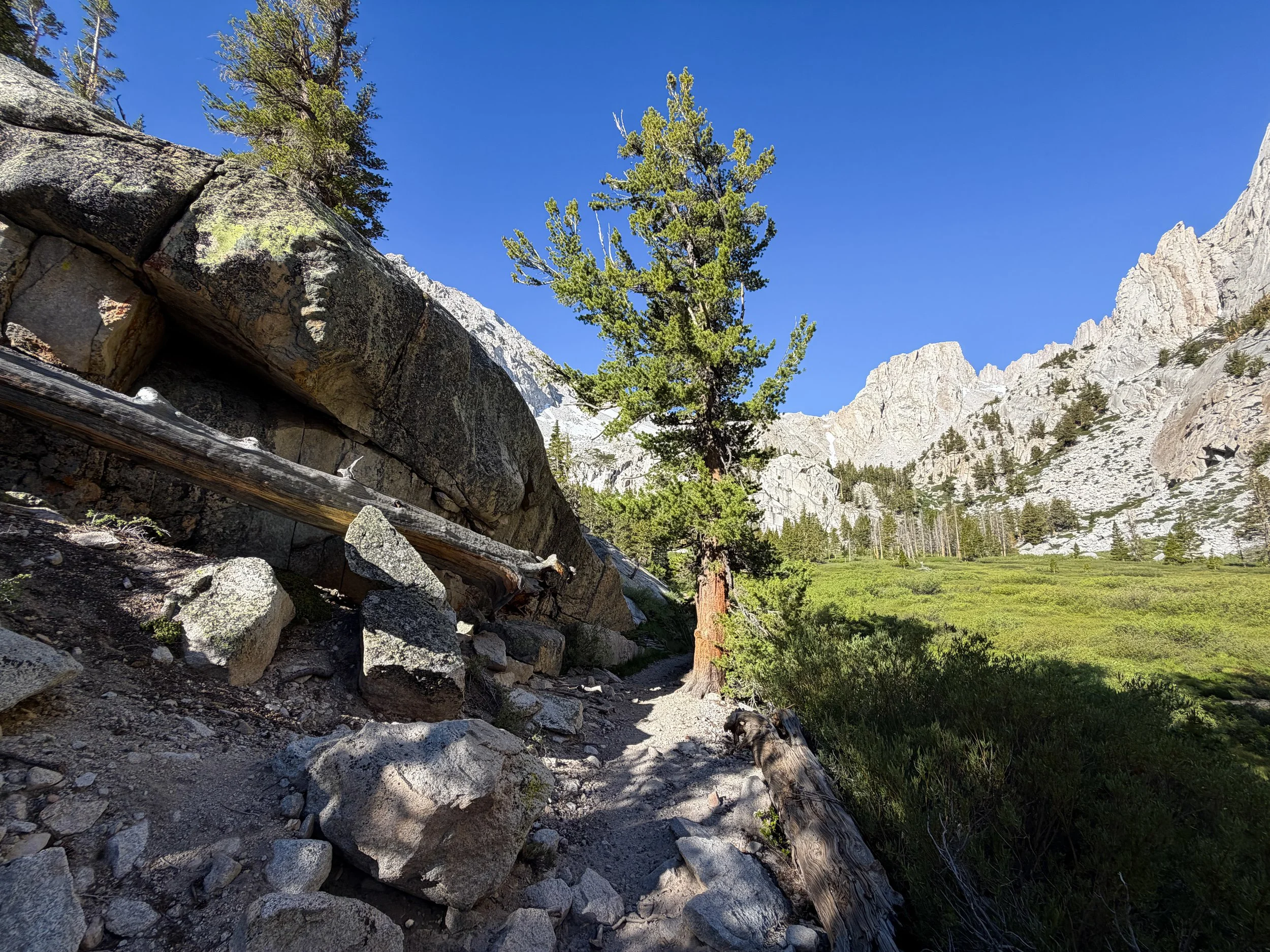 Bighorn Park Meadow Mount Whitney Trail California