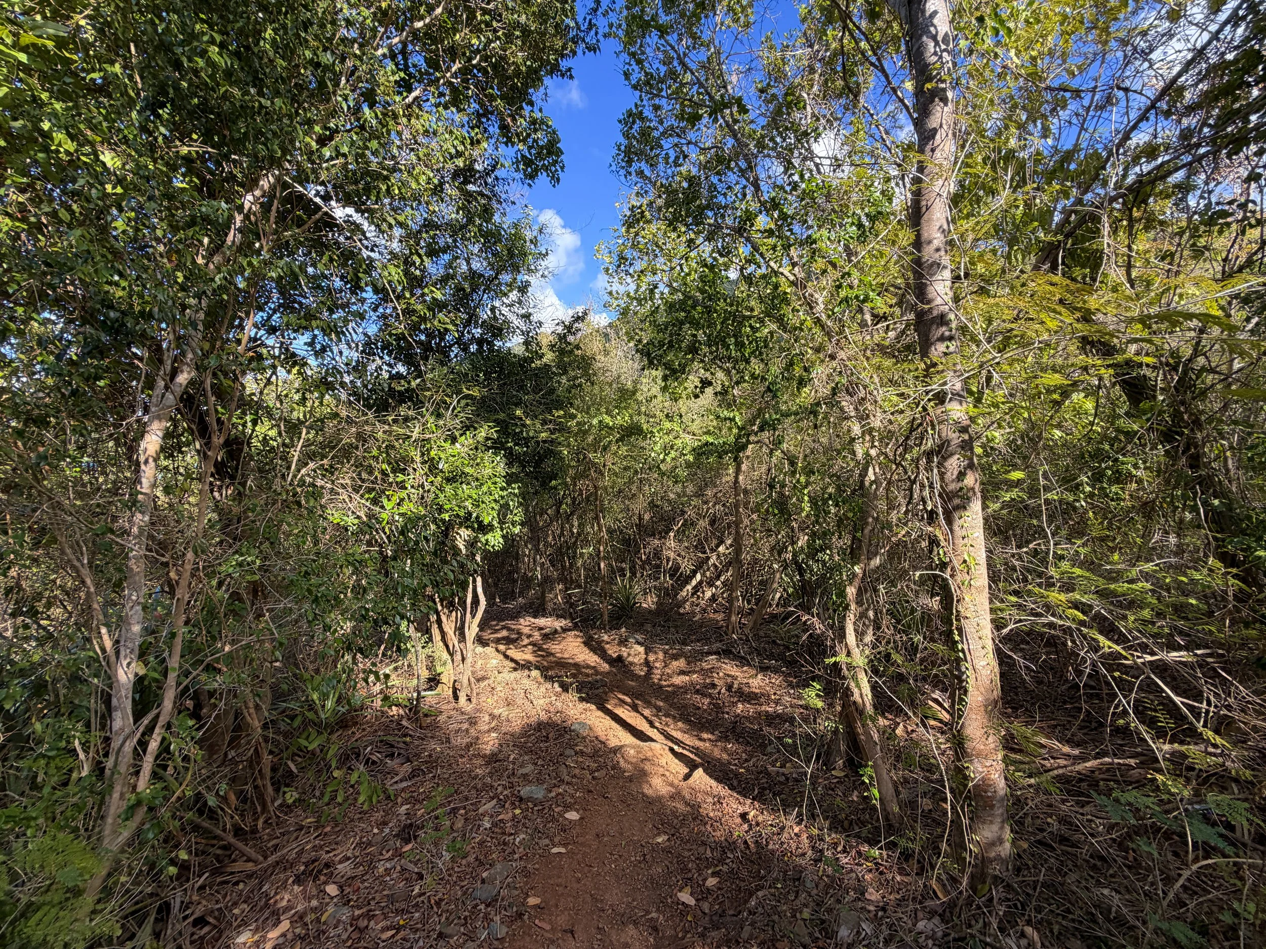 Denis Bay Trail Virgin Islands National Park