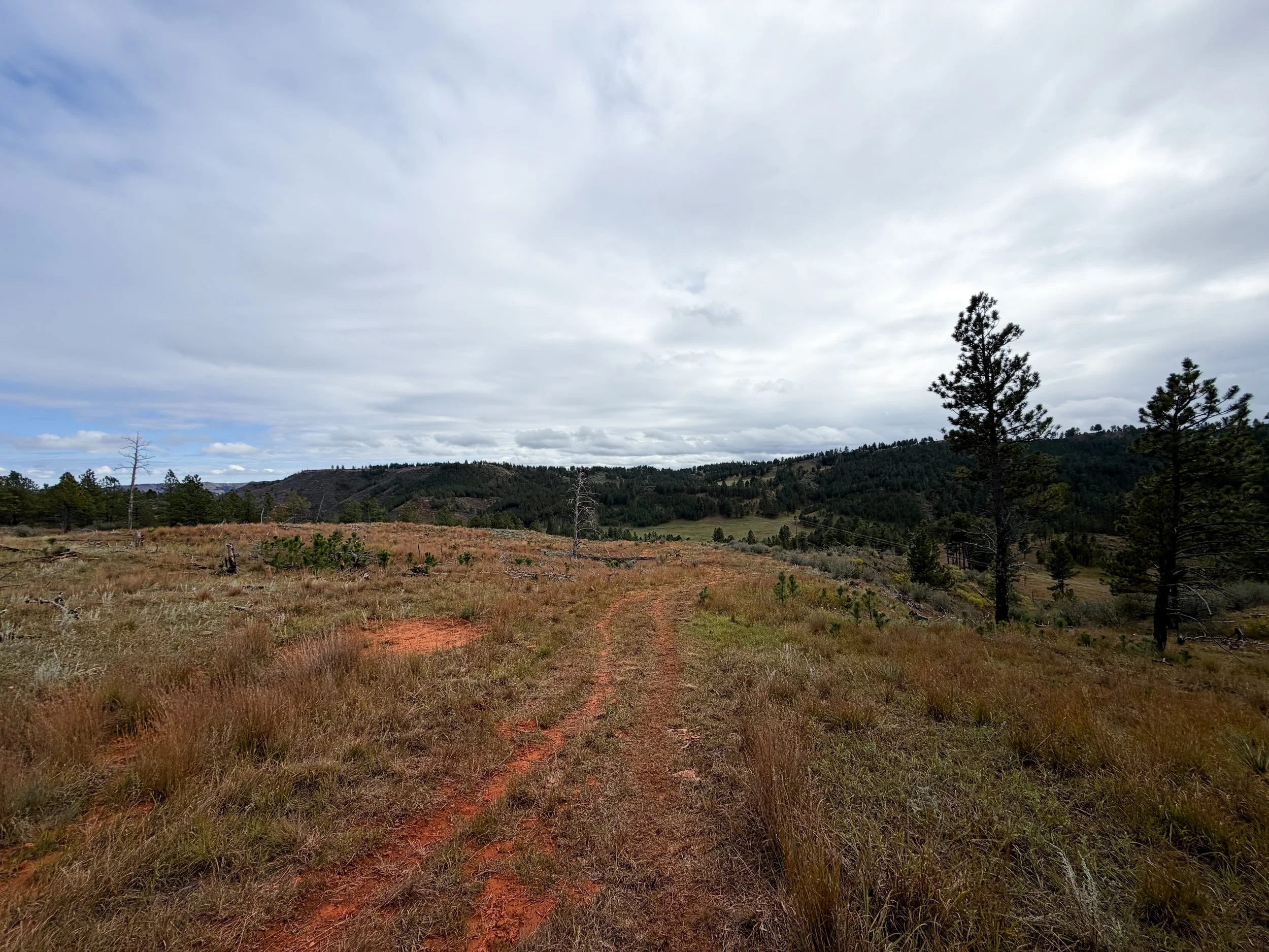 Highland Creek Trail to Wind Cave Canyon Wind Cave National Park South Dakota