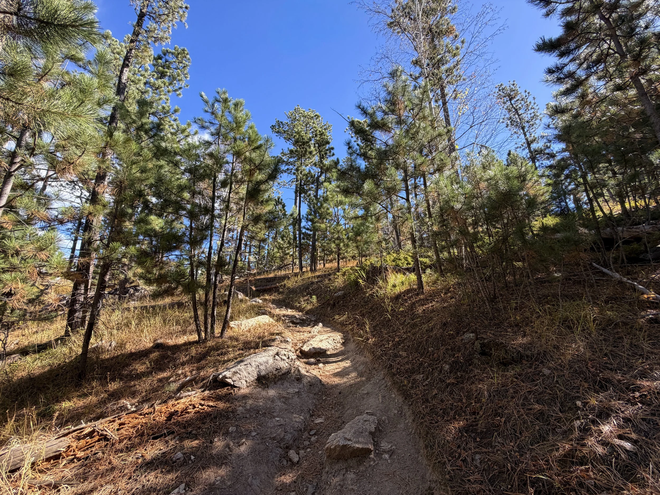 Sunday Gulch Trail Custer State Park Black Hills South Dakota