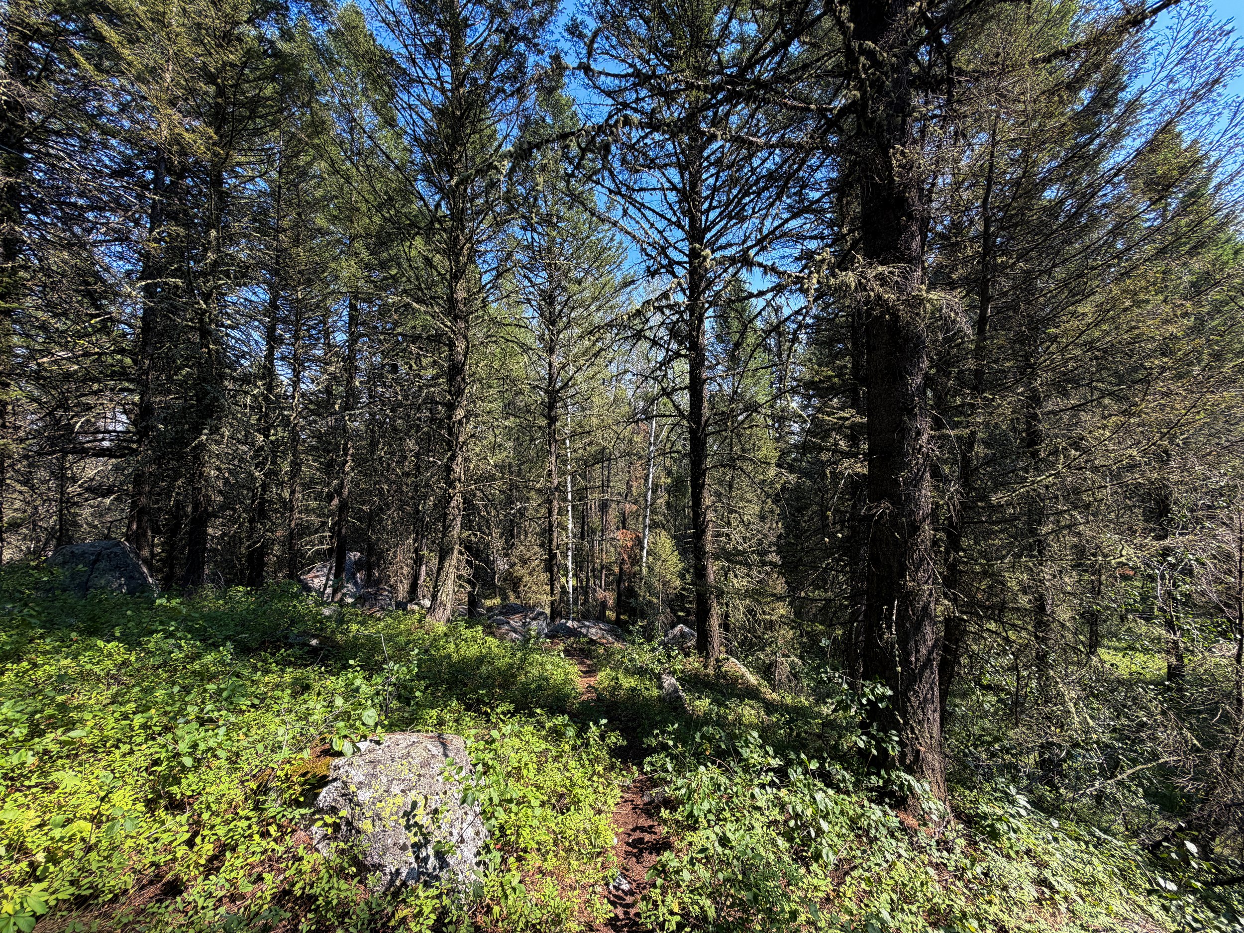 Boulder Field Trail Grand Teton National Park Wyoming